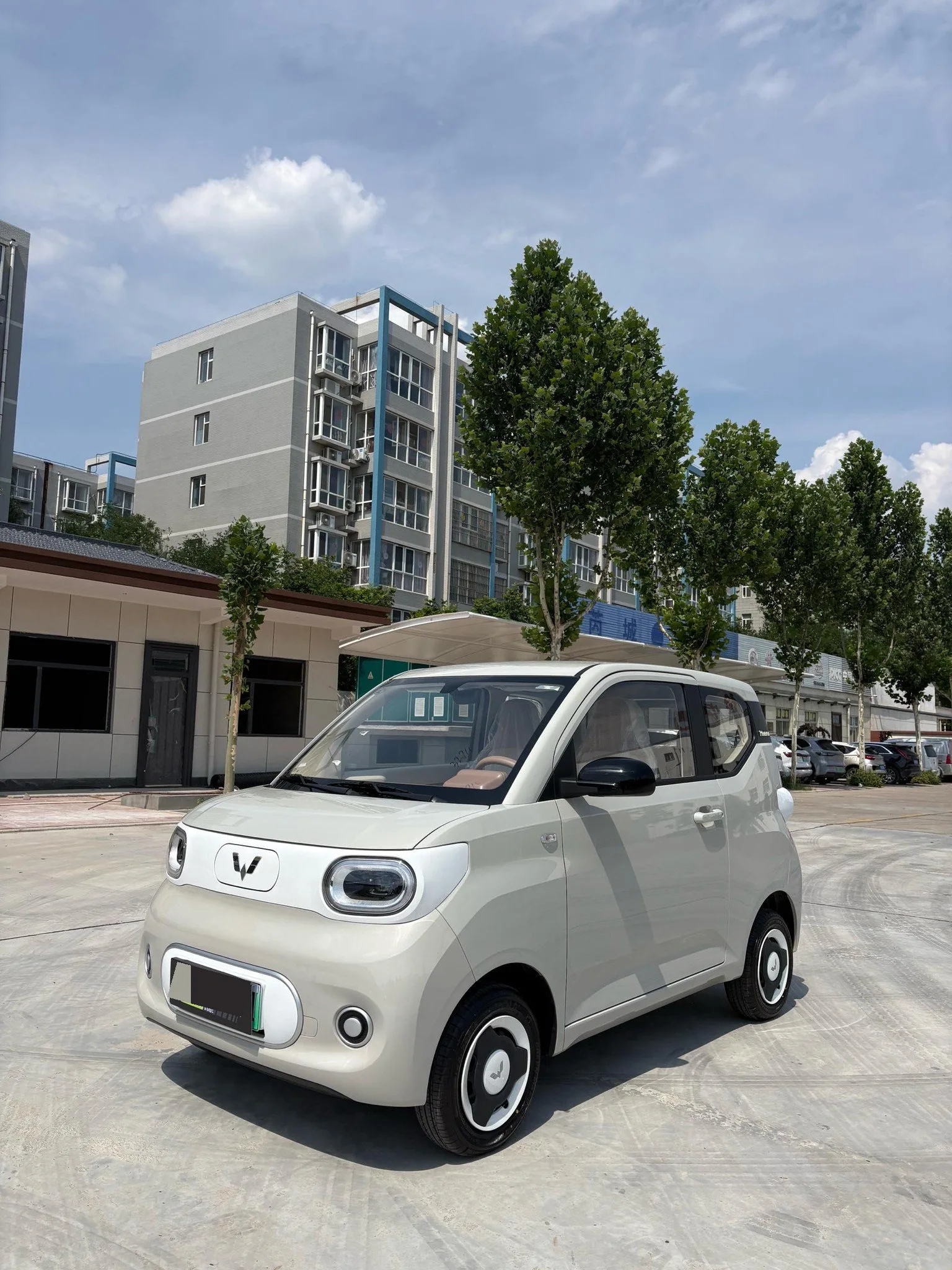 Wuling 2024 Hongguang MINI EV 215km Youth Edition Automatic