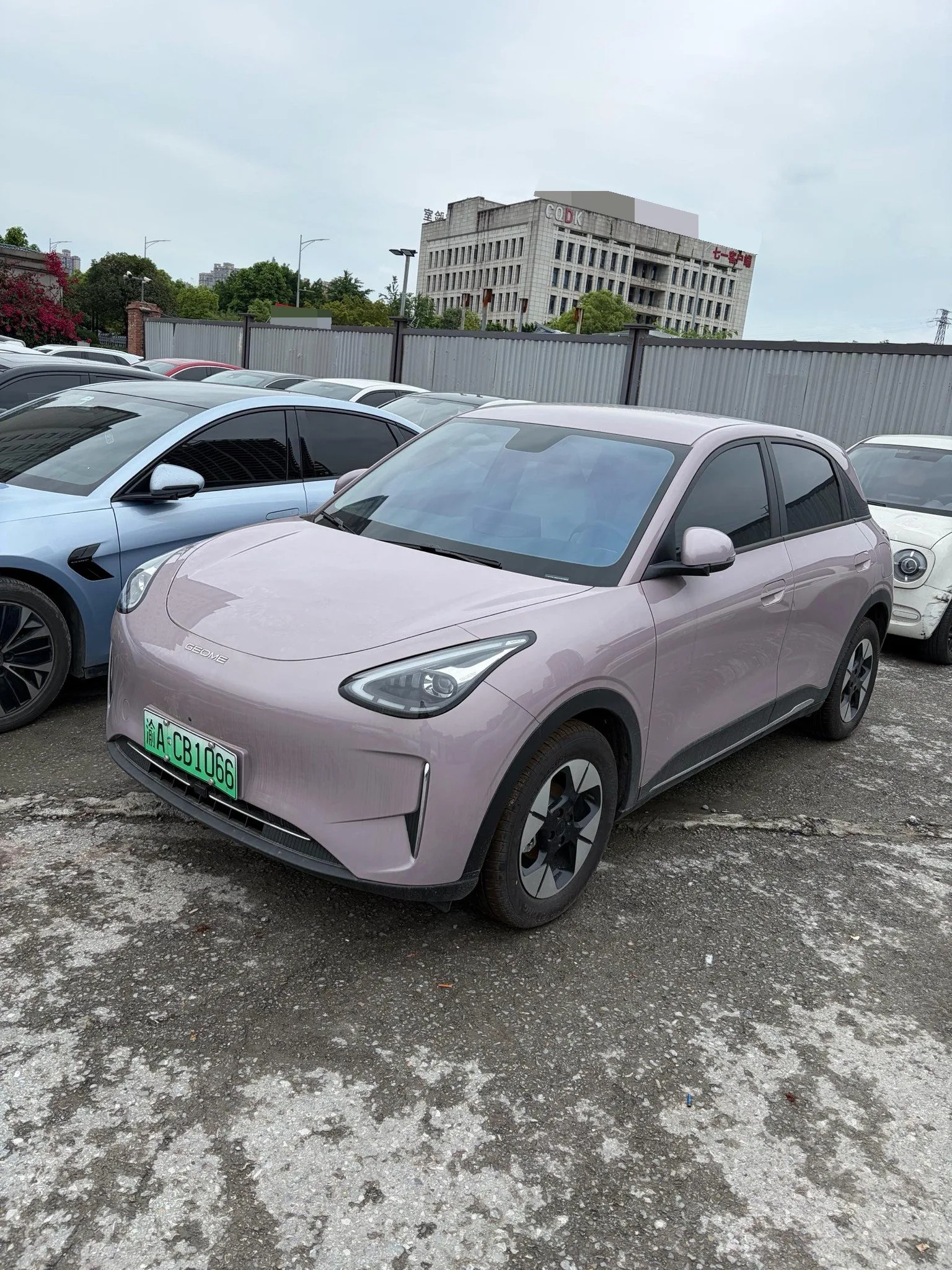 Star Wish 2026 Model 310km Dream Edition