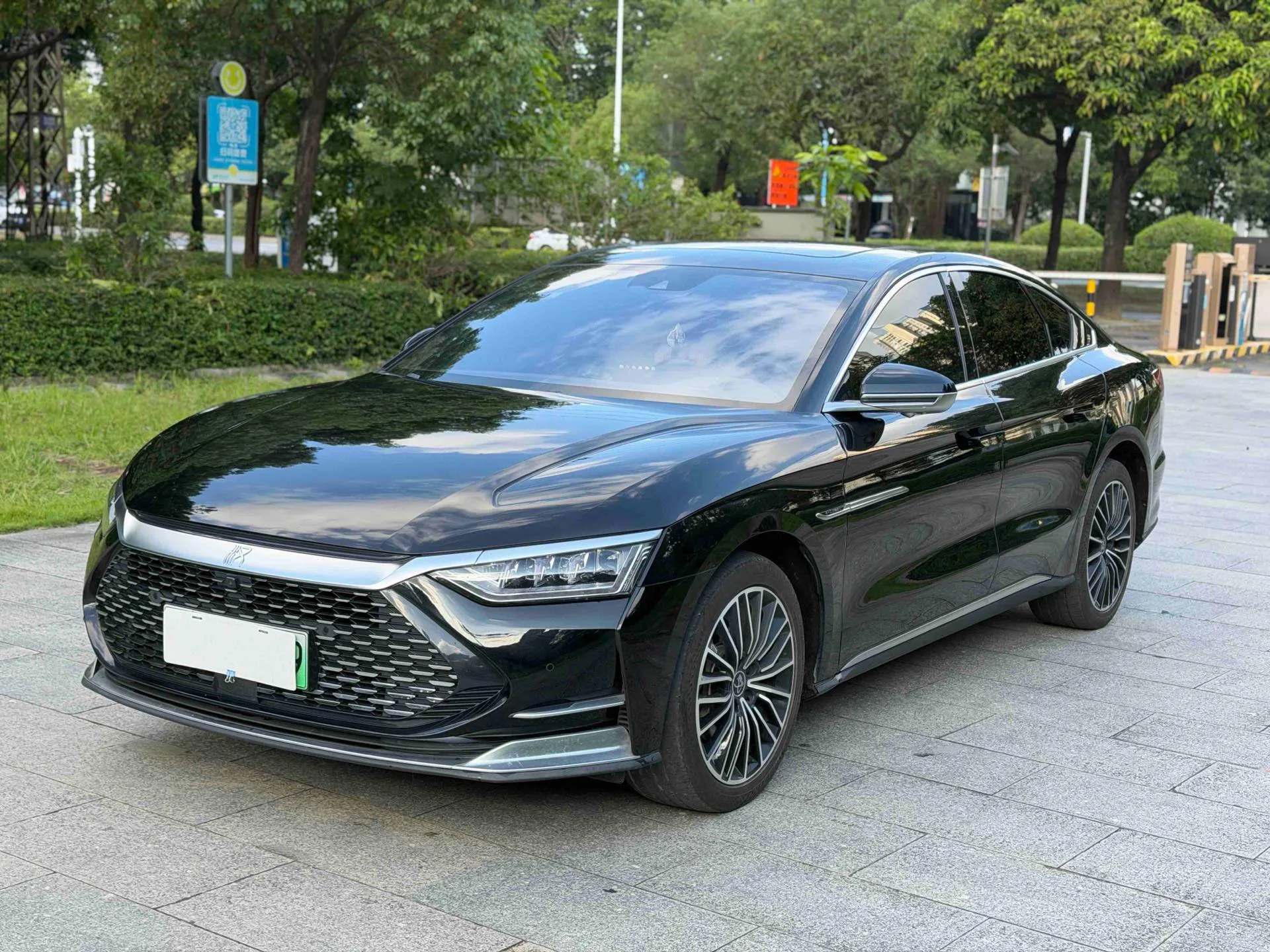2020 Han DM 4WD Performance Luxury Edition