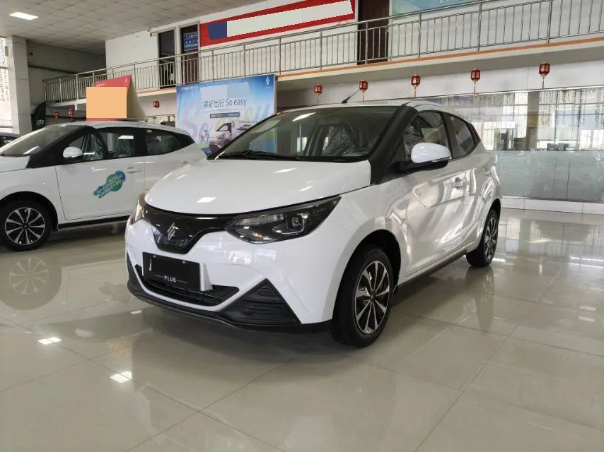 JMC 2025 Little Qilin PLUS+ Luxury Edition, Automatic Transmission