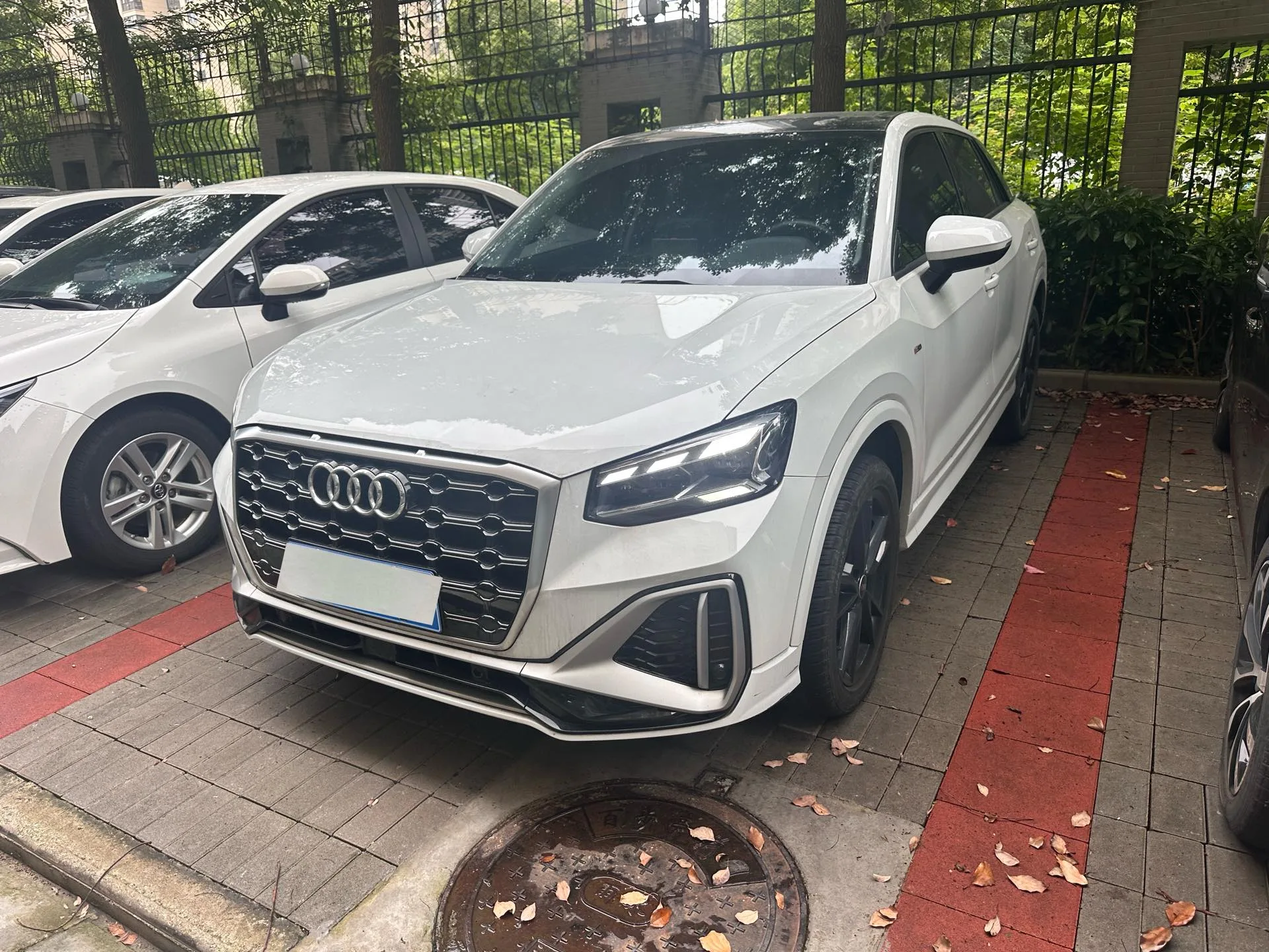 Audi Q2L 2022 35 TFSI Progressive Dynamic Edition