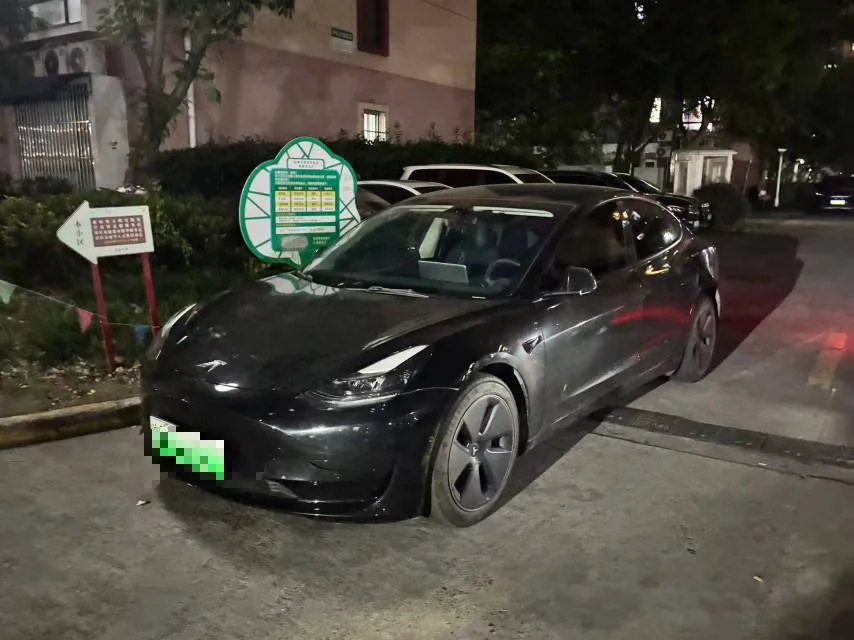 Model 3 2021 Facelift Standard Range Rear-Wheel Drive Upgrade Version 3D1