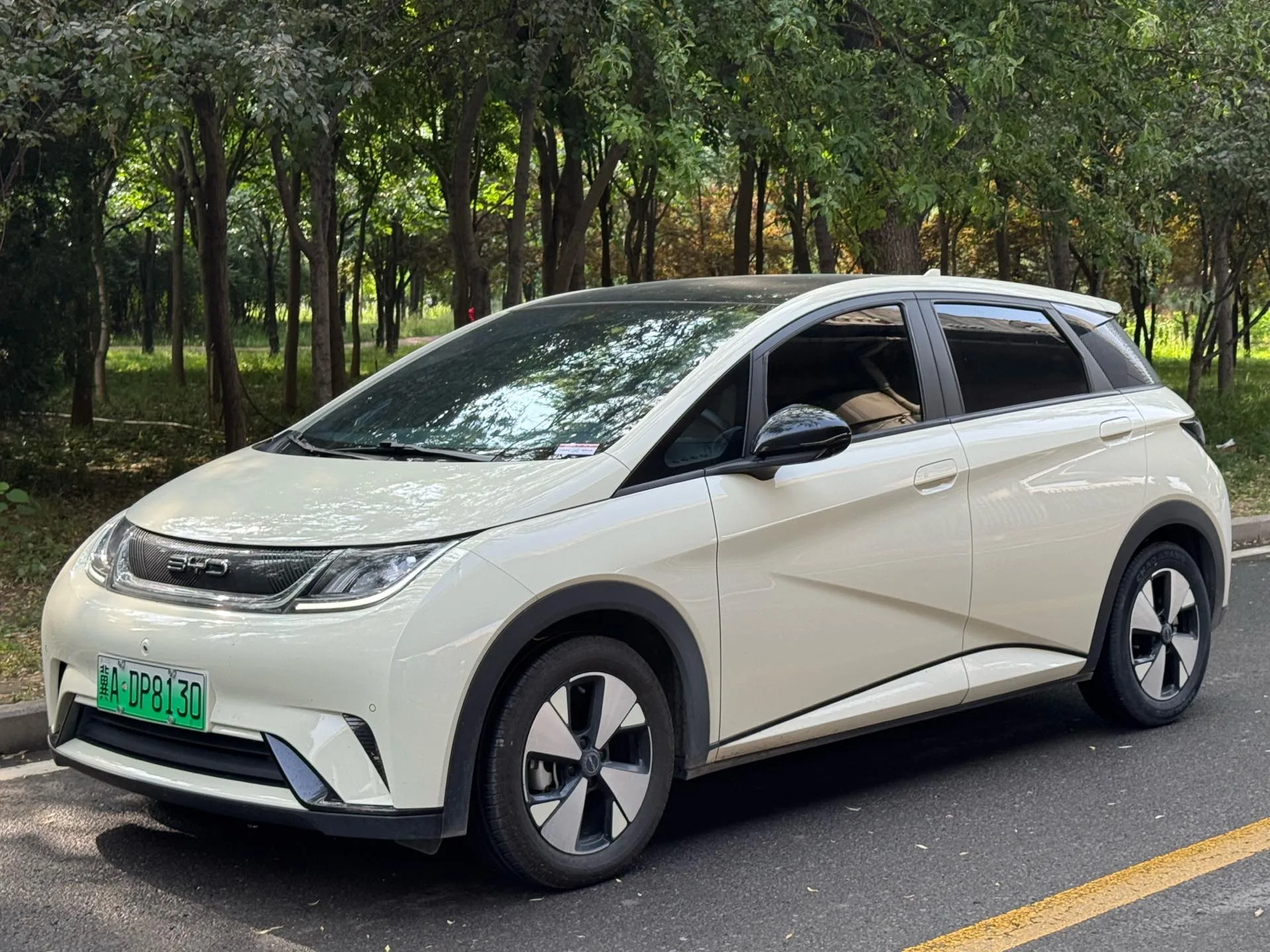 BYD 2023 Dolphin 420km Fashion Edition Automatic