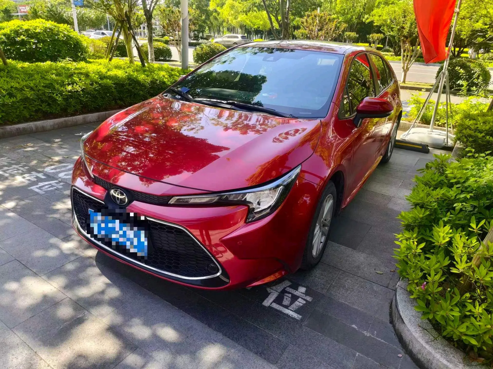 Levin 2019 185T CVT Luxury Edition (National V Emission Standard)