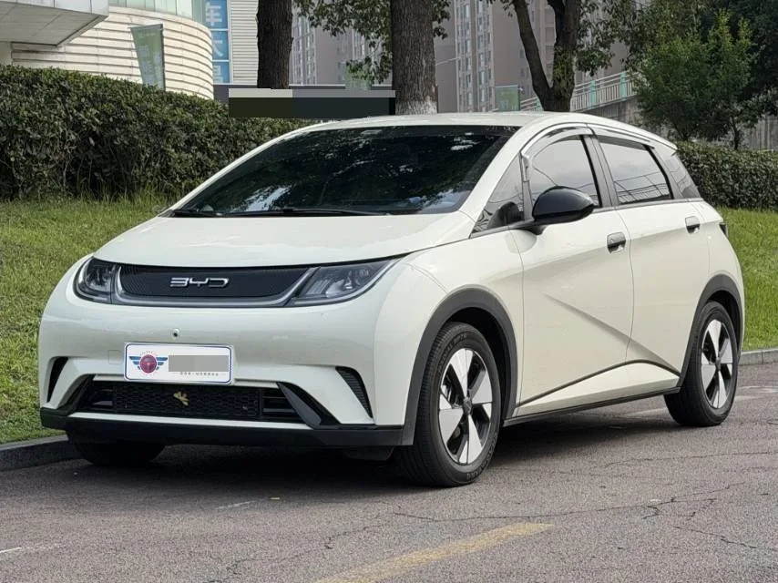 BYD 2023 Dolphin 420km Freedom Edition Automatic