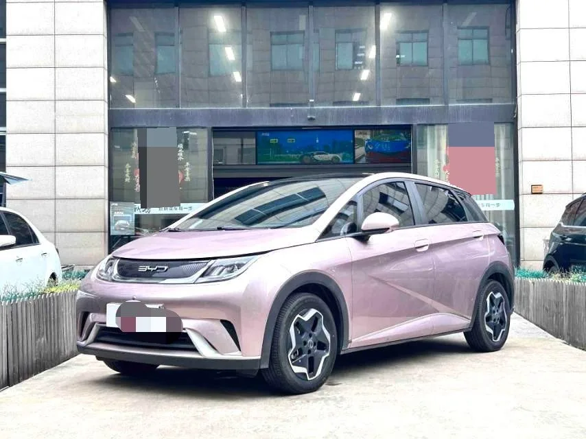 BYD 2023 Dolphin 420km Fashion Edition Automatic