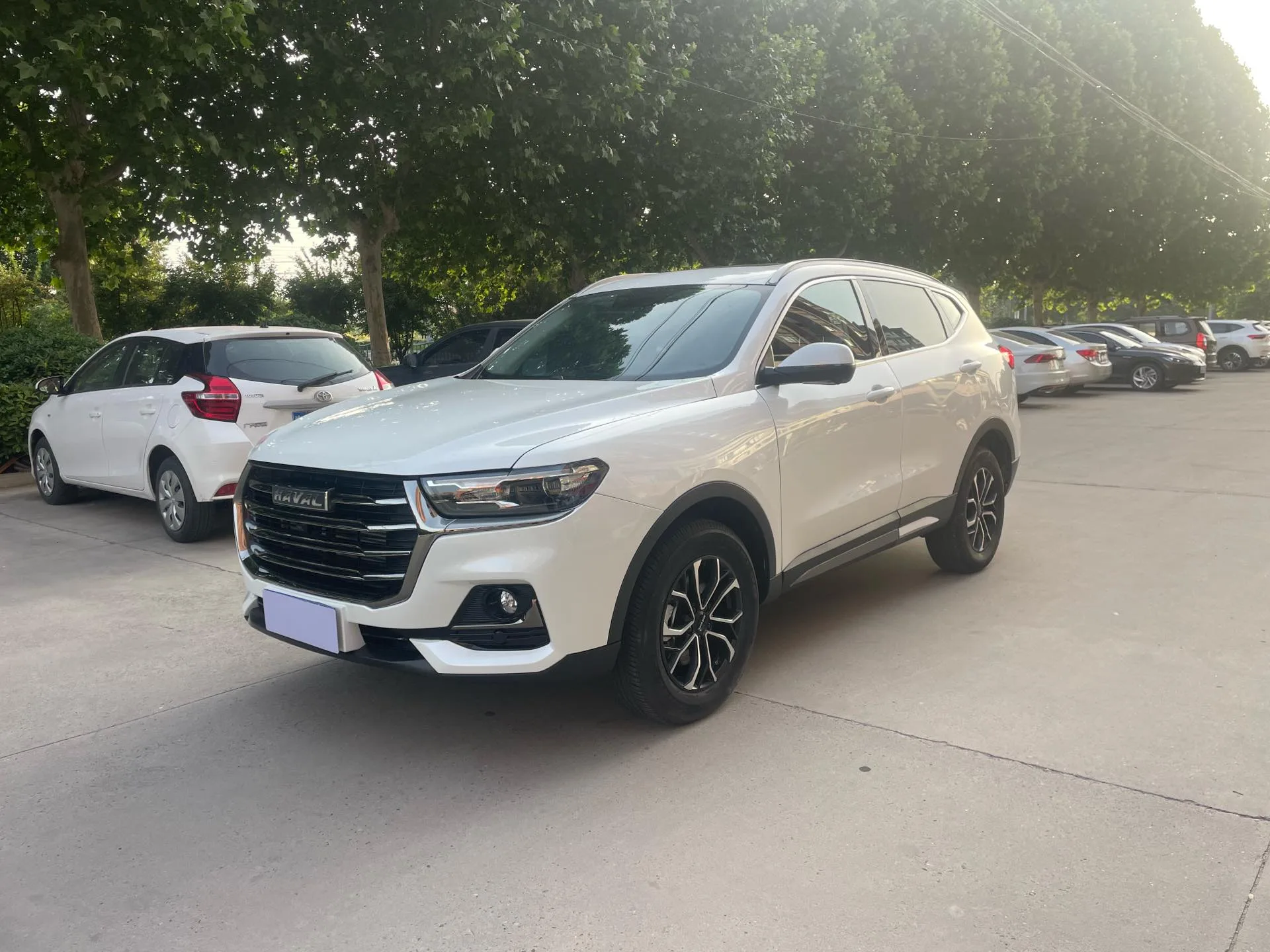 Haval 2025 H6 1.5T National Trend Champion Edition Automatic