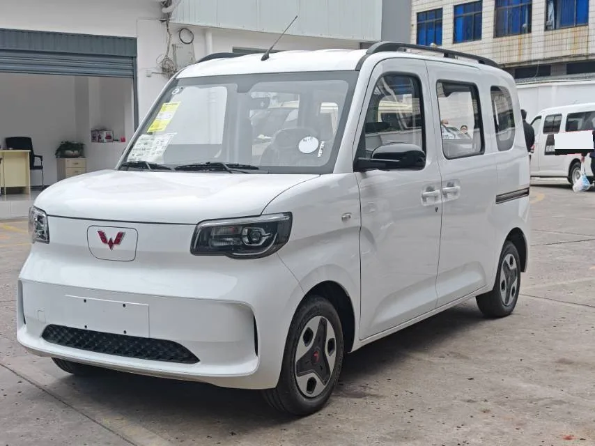 Wuling Sunshine New Energy 2025 Model 305km/h Progressive Edition