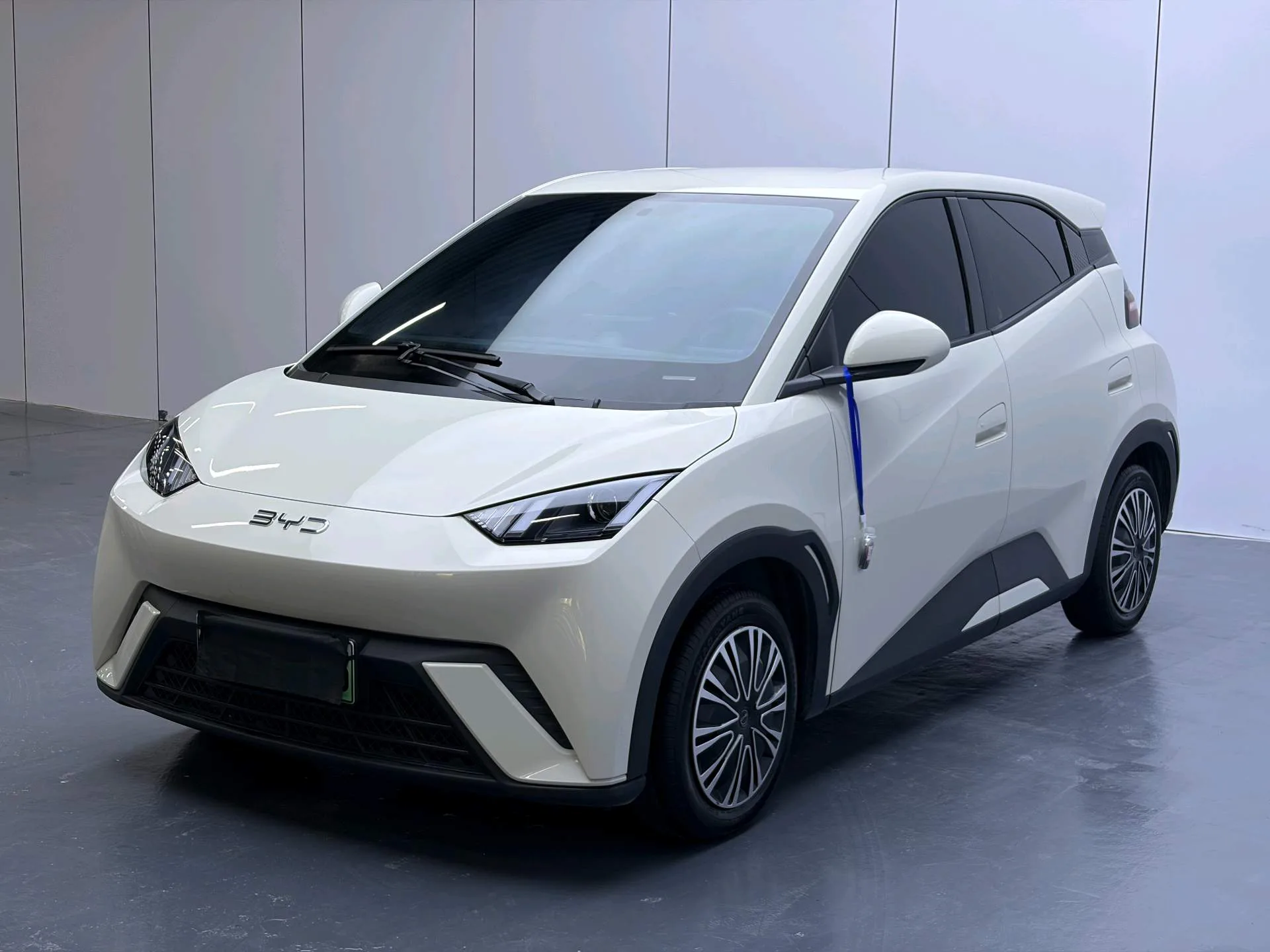 BYD 2025 Seagull 305km/h Vitality Edition Automatic