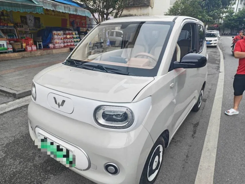 Wuling 2024 Hongguang MINI EV 215km Youth Edition Automatic