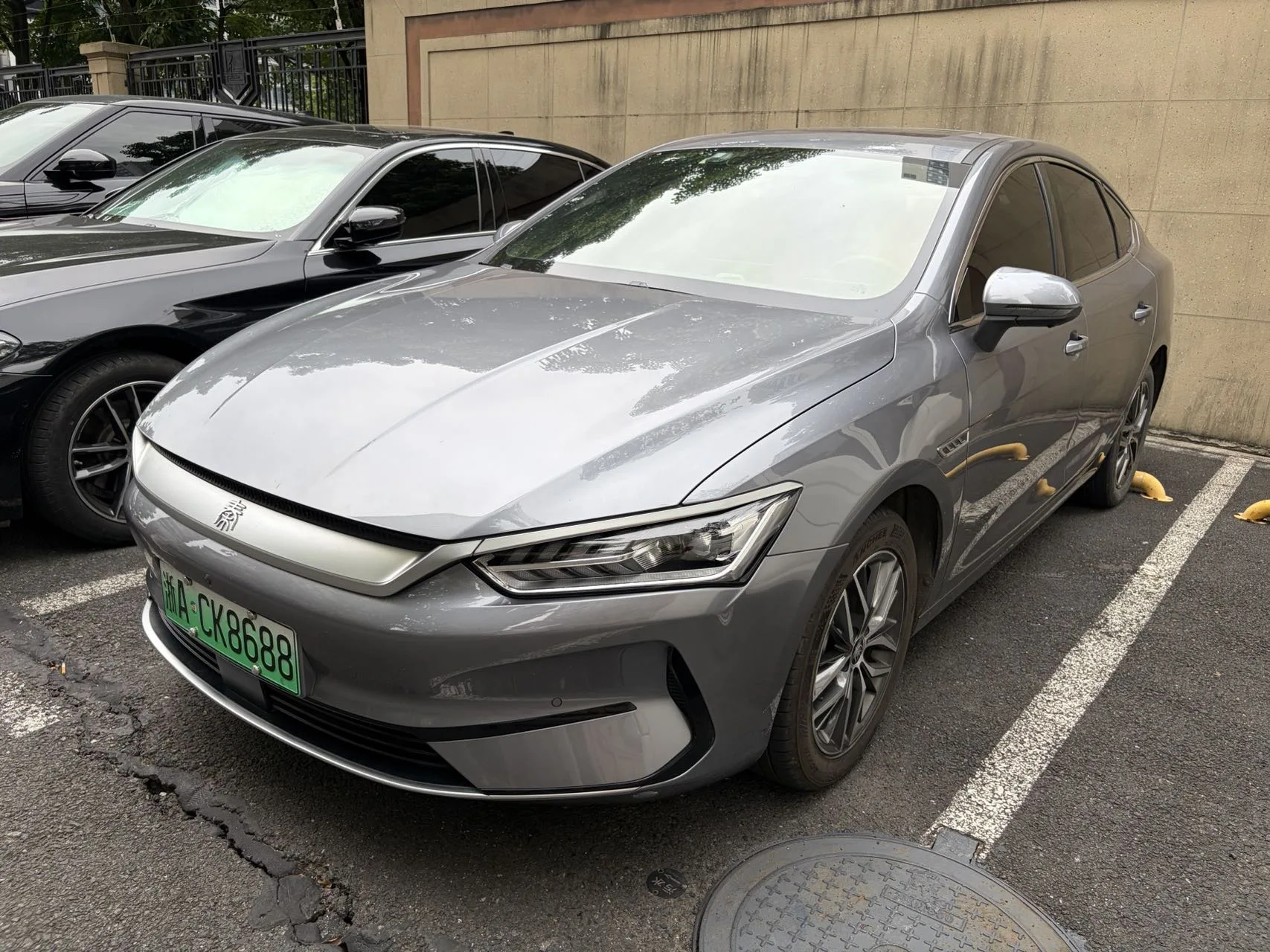 BYD 2023 Qin PLUS EV 510KM Champion Edition Excellence Trim Automatic Transmission