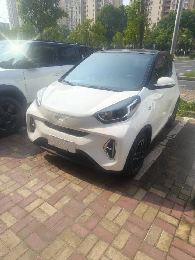 Little Ant 2023 Facelift 251km Range Passionate Edition Lithium Iron Phosphate
