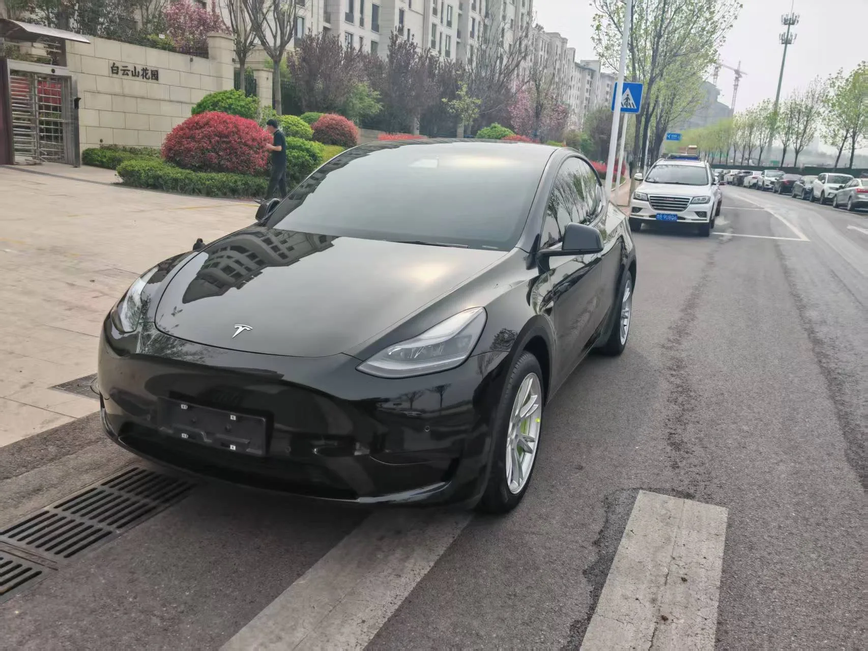 Model Y 2024 Rear-Wheel Drive