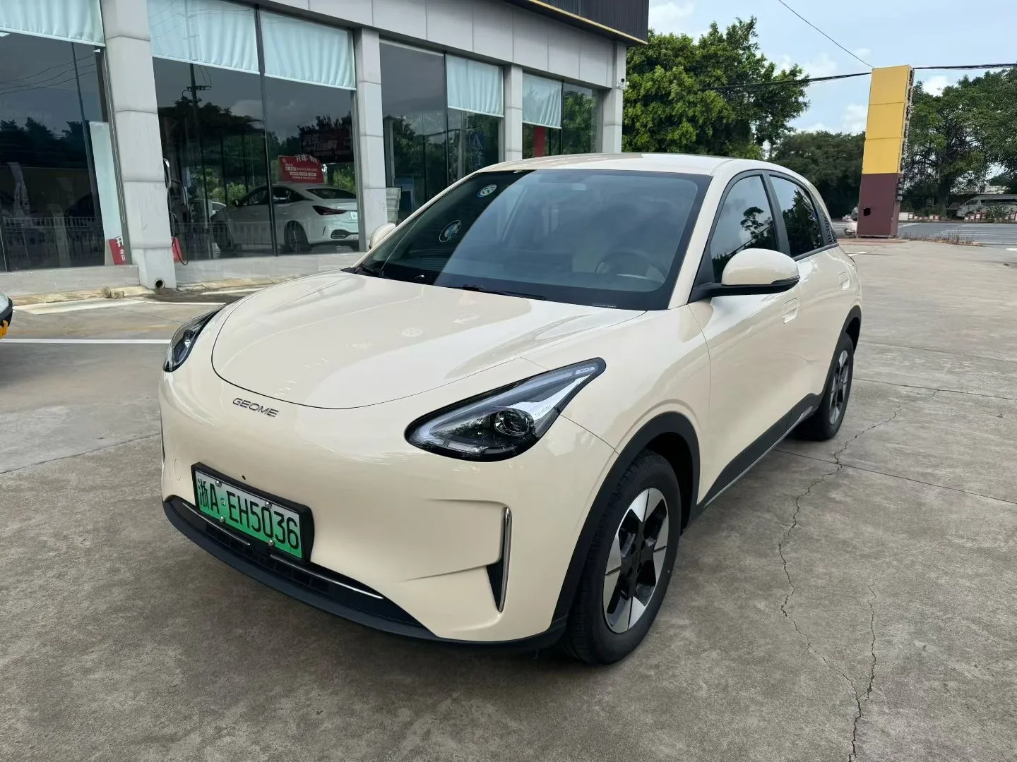 Star Wish 2025 310km Dream Edition