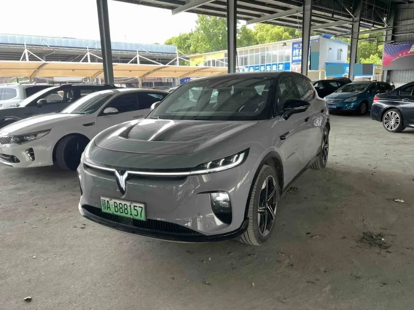 Lan图 Zhiyin 2024 Model, Single-Motor High-Power, Ternary Lithium
