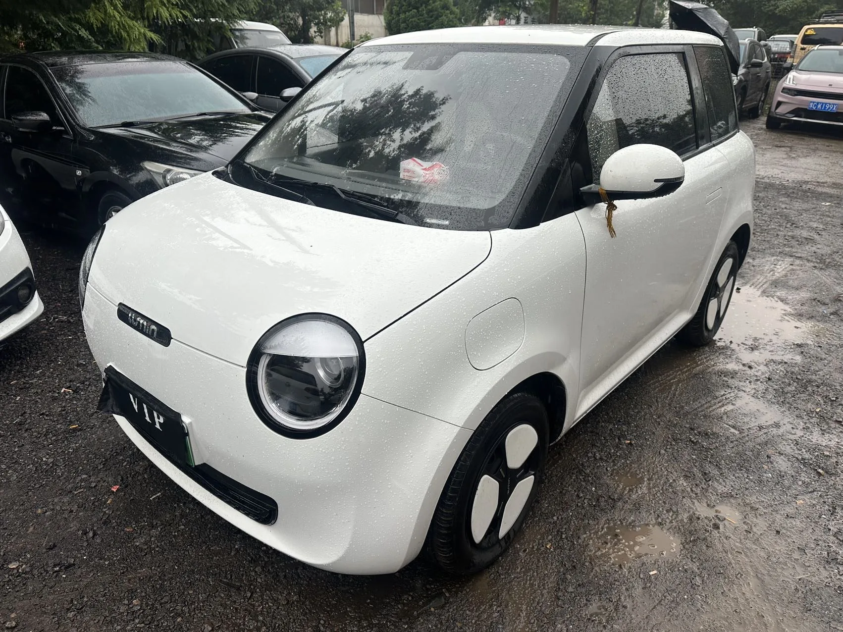 Changan 2023 Lumin 205km/h Fragrant Edition Automatic