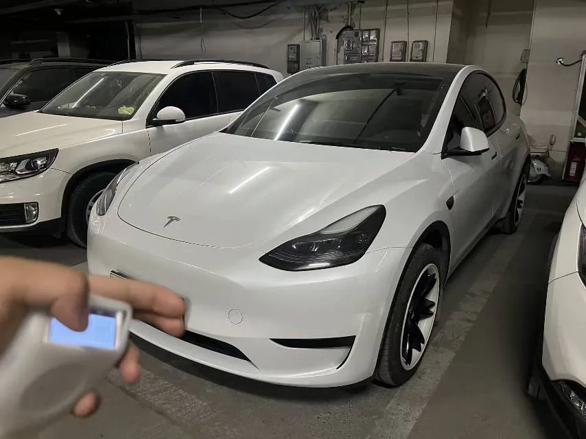 Model Y 2024 Rear-Wheel Drive