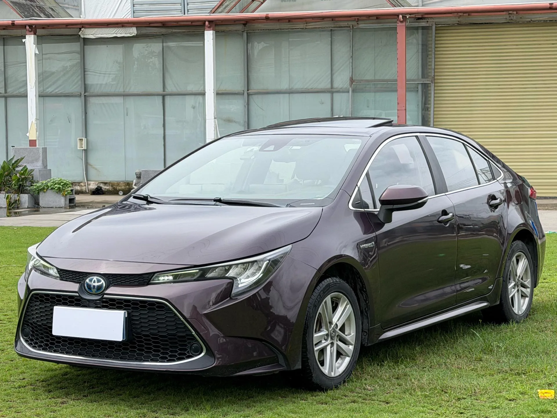 Levin 2019 Hybrid 1.8H E-CVT Luxury Edition (National V Emission Standard)