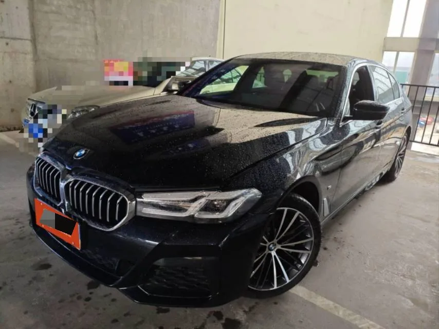 BMW 5 Series 2021 530Li Leading Luxury Package