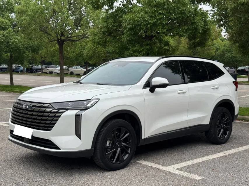 Haval 2024 H6 2.0T 2WD Max Automatic