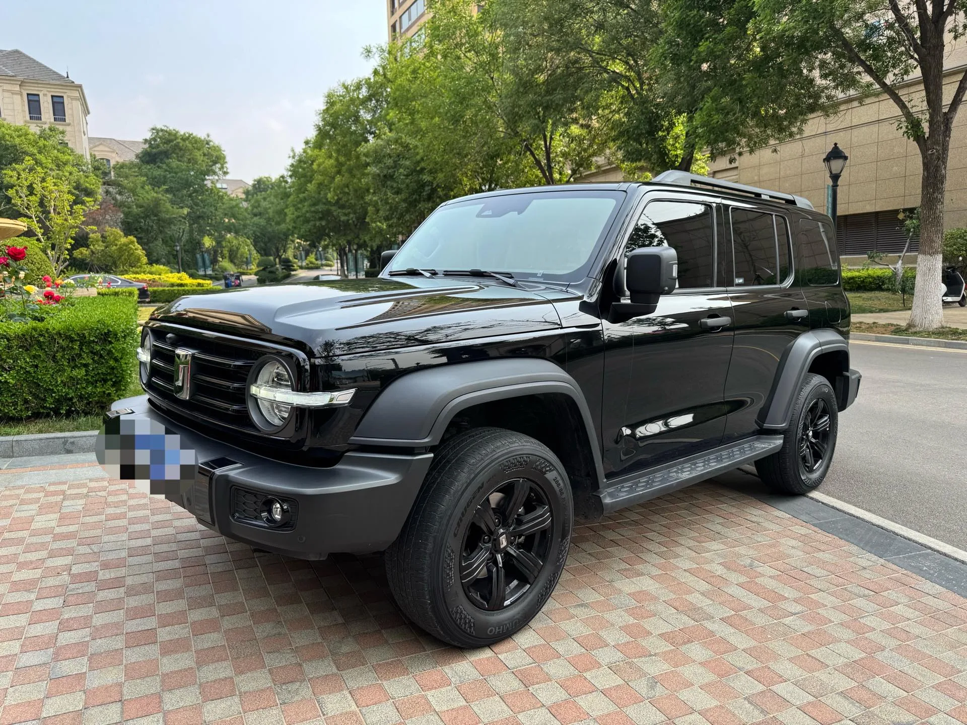 Tank 300 2024 Model Year 2.0T Conqueror