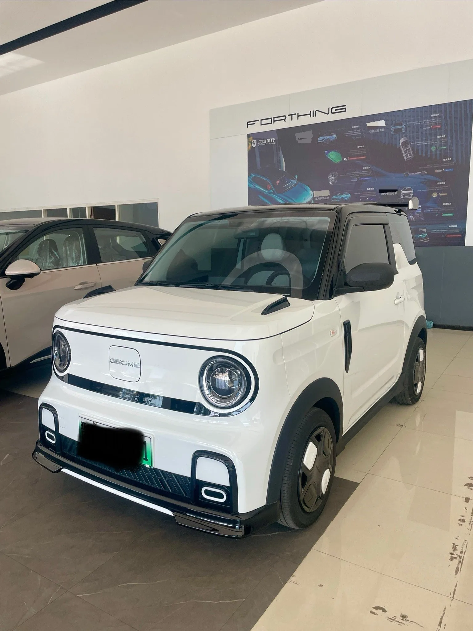 Geely 2025 Panda MINI 210km Panda Go-Kart Automatic