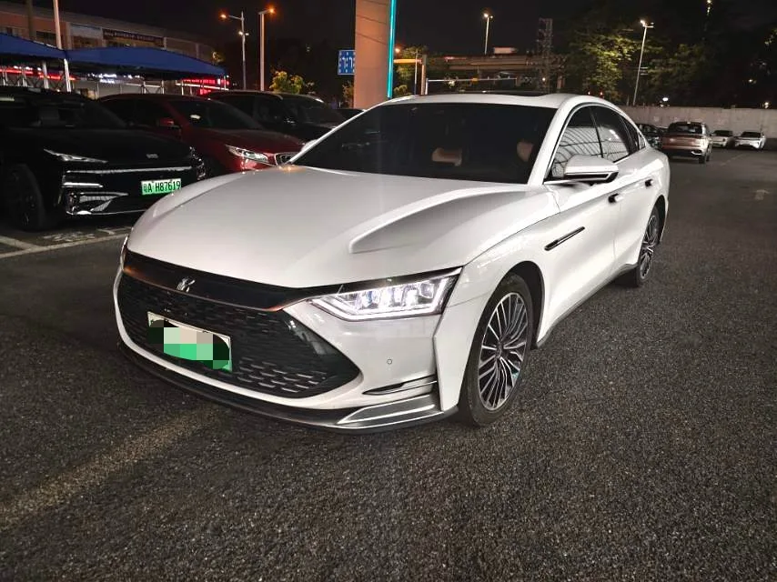 2020 Han DM 4WD Performance Luxury Edition