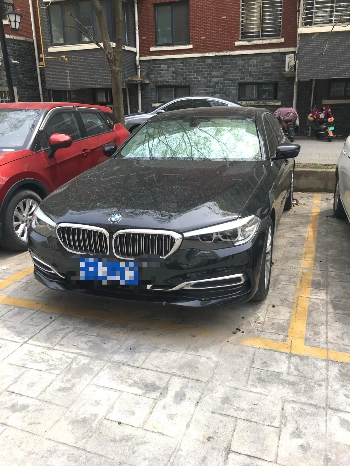 2019 BMW 5 Series 525Li Luxury Package