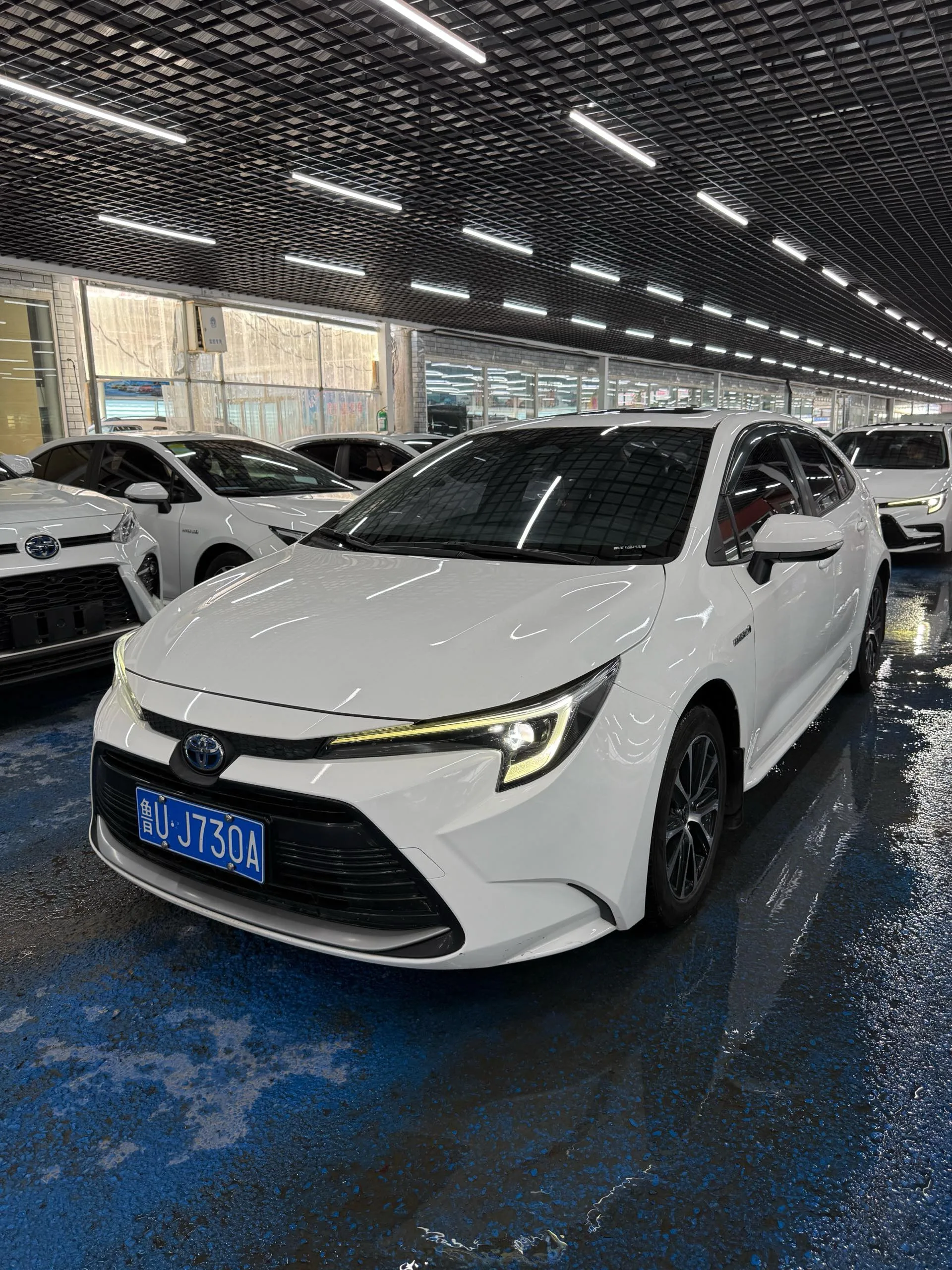 Toyota 2023 Corolla Hybrid 1.8 CVT Intelligent Electric Hybrid Luxury Edition Automatic Transmission