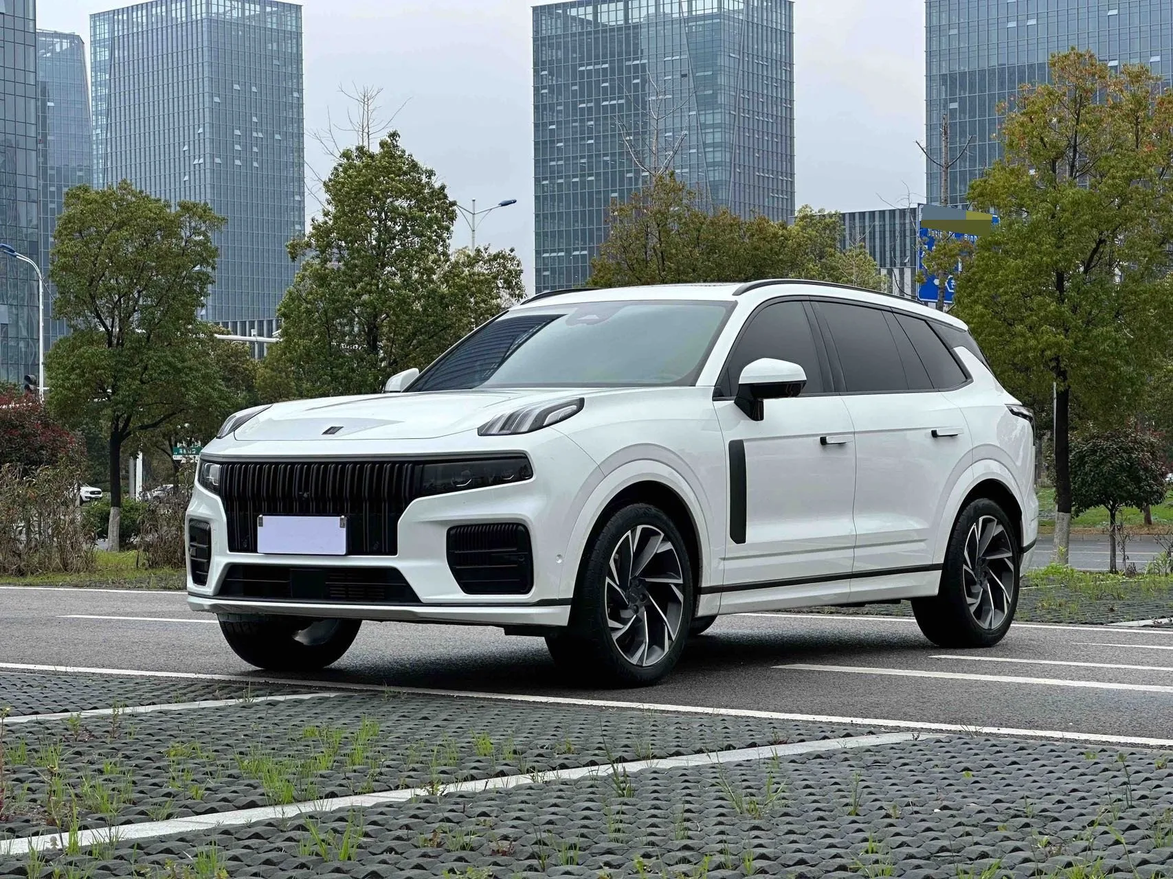 Lynk & Co 2021 Lynk & Co 09 MHEV 2.0T Halo 6-Seater Automatic