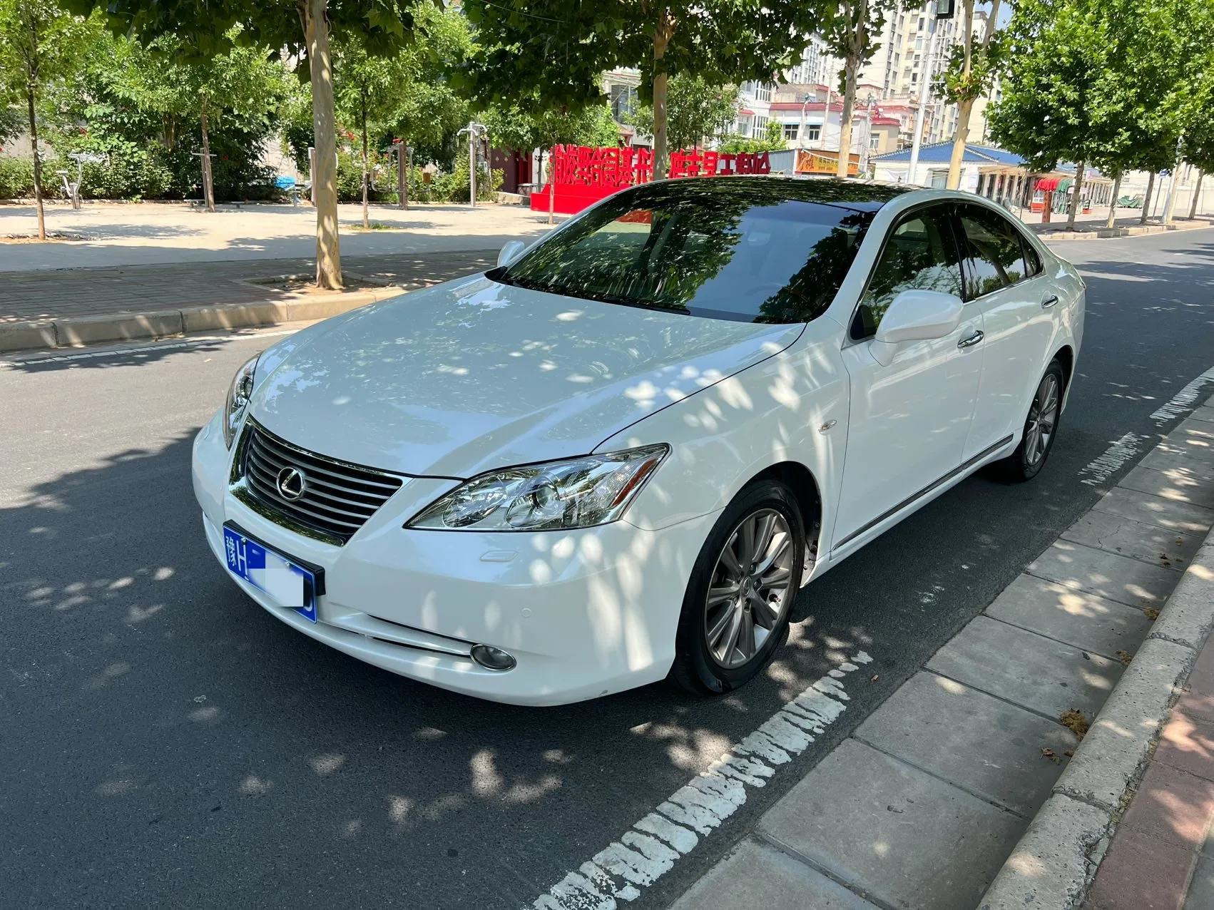 2010 Lexus ES 350 Luxury