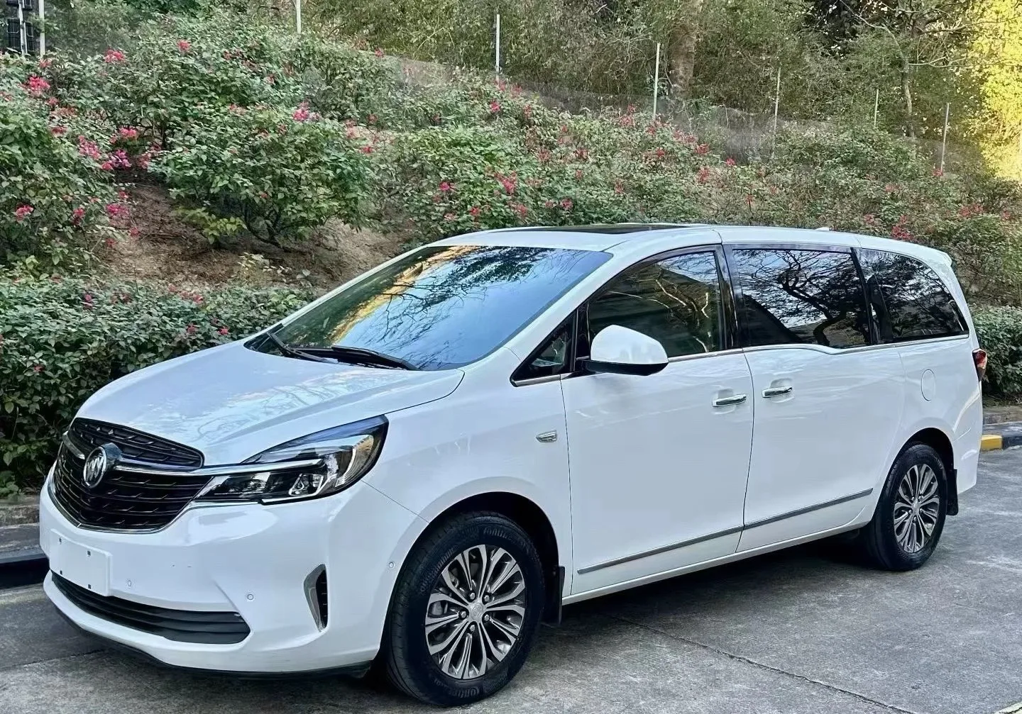 Buick GL8 2020 Land Business Class 652T Luxury
