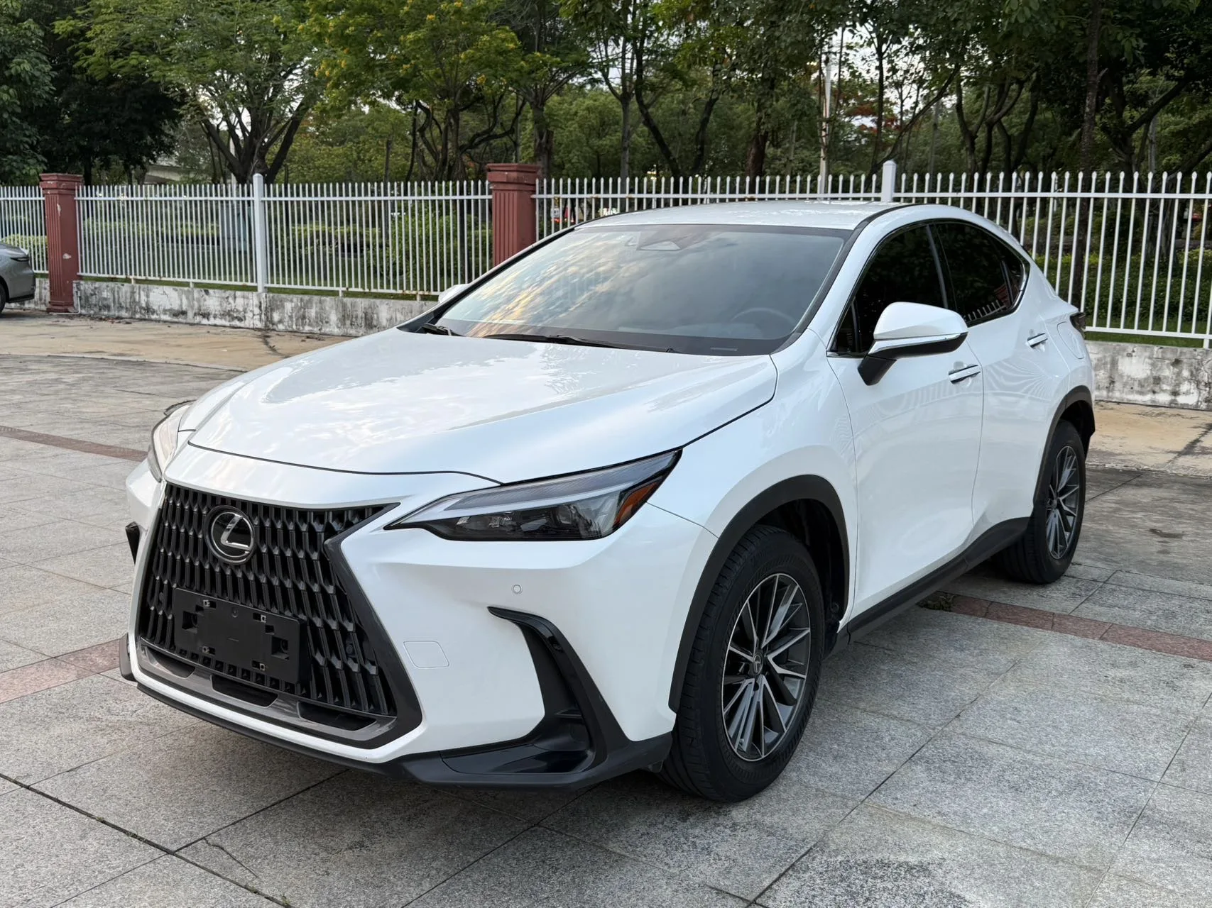 2022 Lexus NX 260 FWD "Chuangchi" Edition