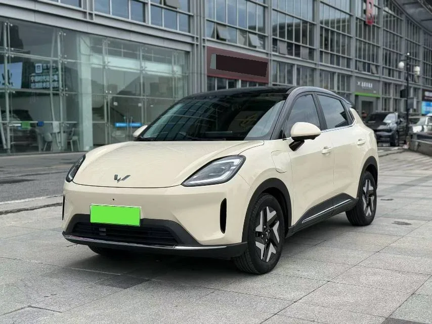 Bingo S 2025 Flagship Model 430km