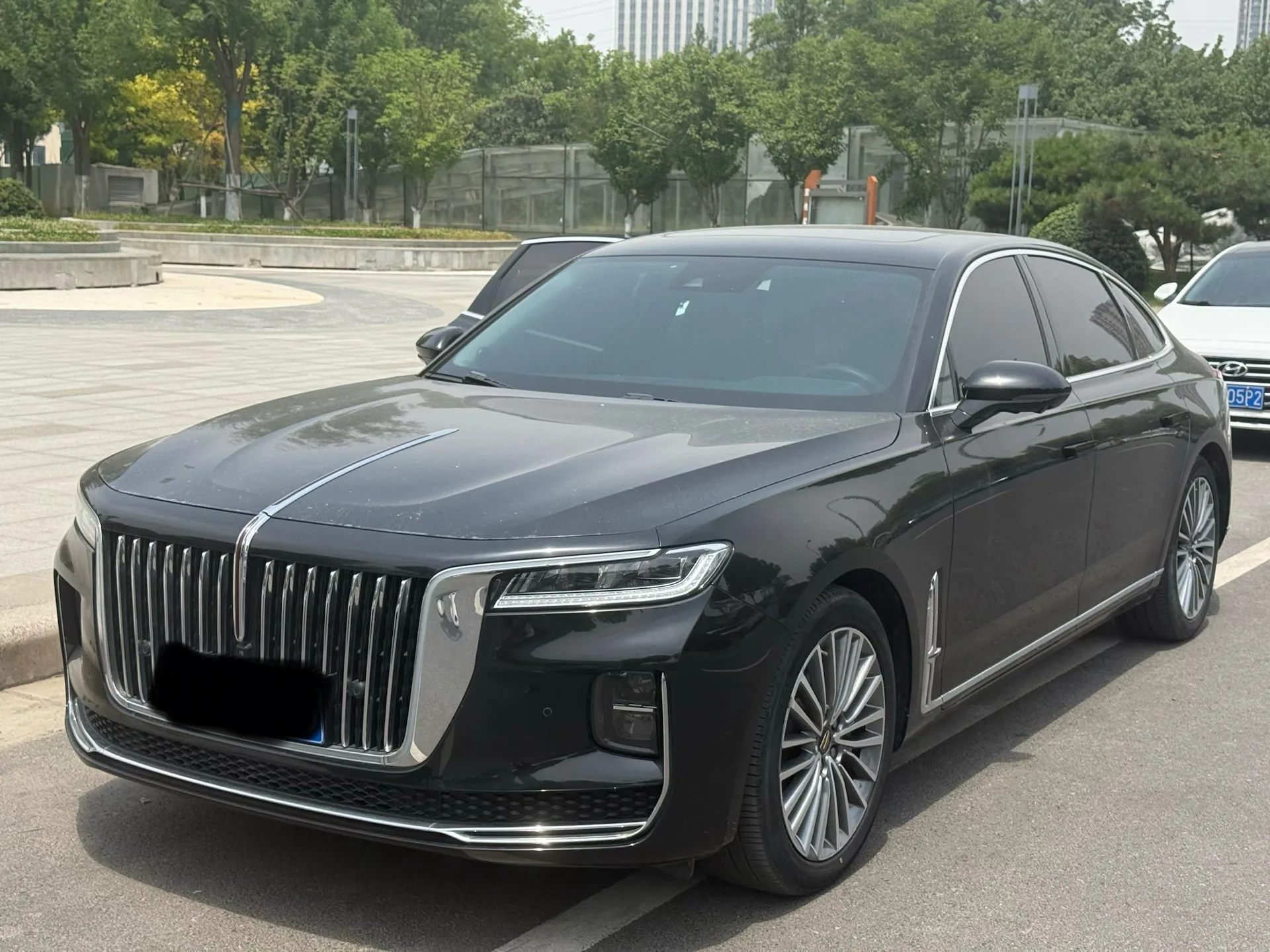 Hongqi H9 2022 2.0T Intelligent Flagship Edition