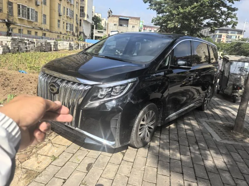 Trumpchi 2024 M8 2.0T 390T Leader Series Luxury Edition Automatic