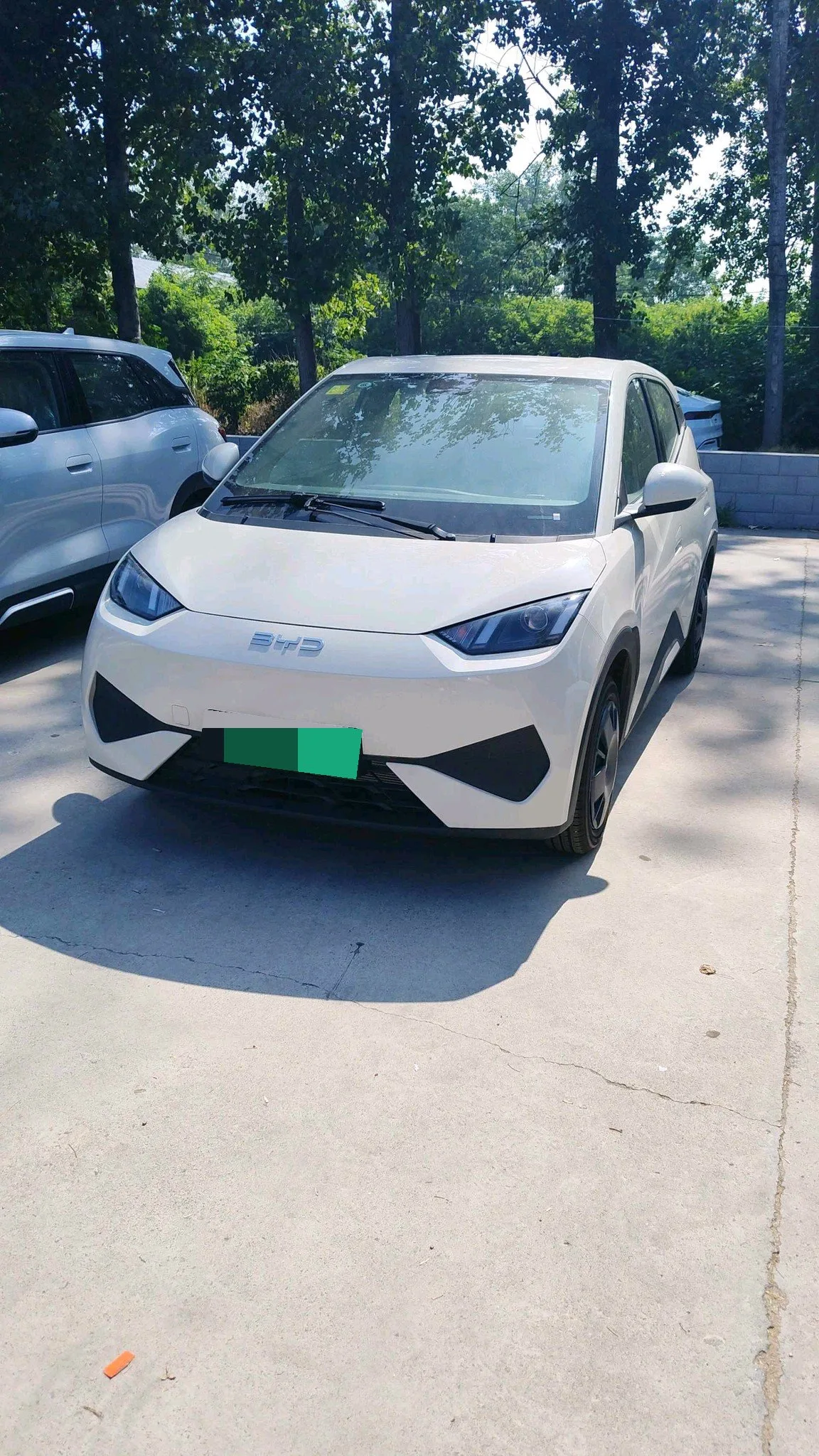 BYD 2025 Seagull 305km/h Vitality Edition Automatic