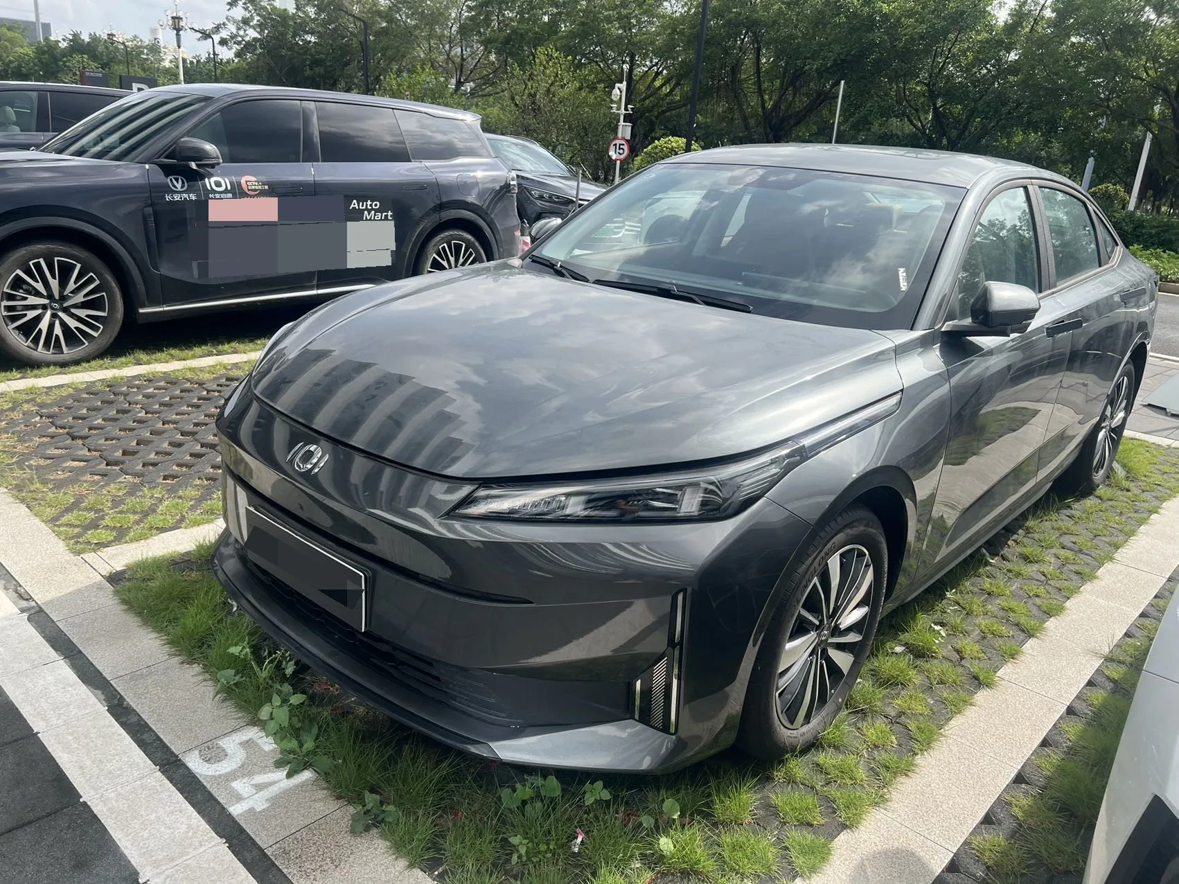 Changan Qiyuan A05 2024 Model Year "Zhenxiang" Edition 145 Leading Trim