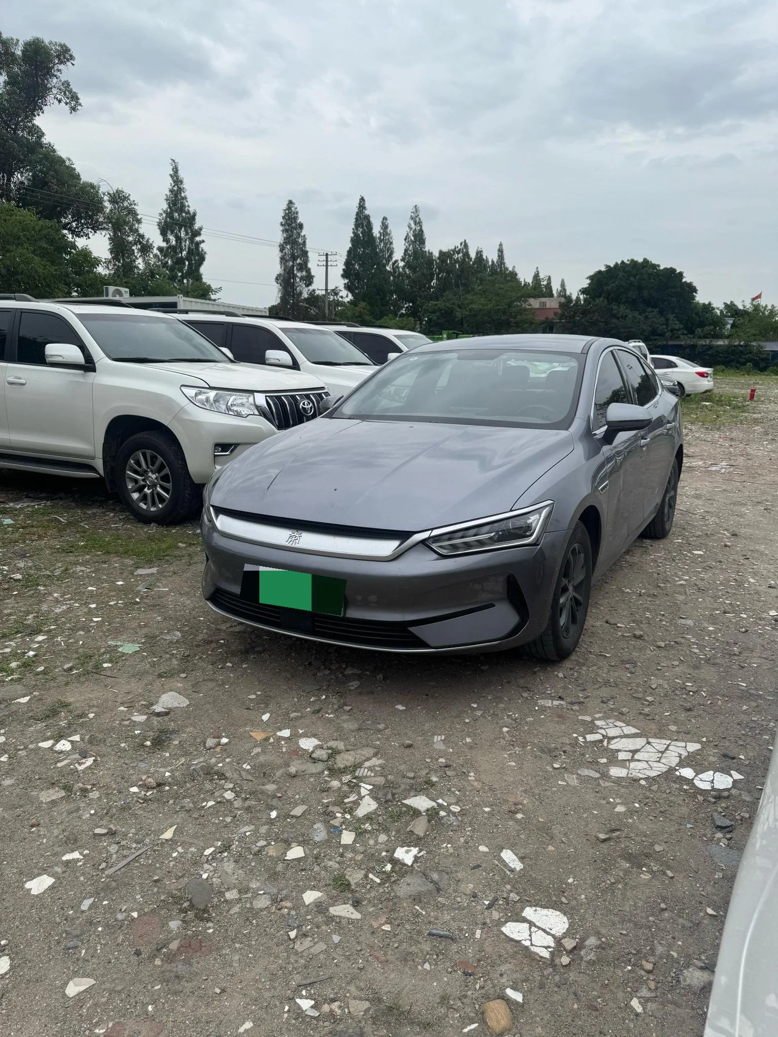 BYD 2024 Qin PLUS EV 510KM Glory Edition (Superior Type) Automatic Transmission