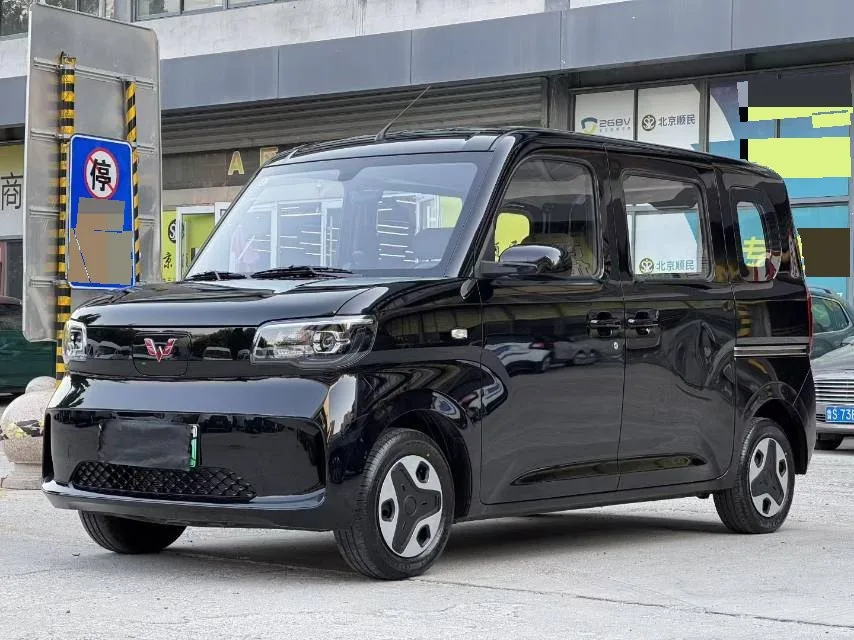Wuling Sunshine New Energy 2025 Model 201km Standard Edition