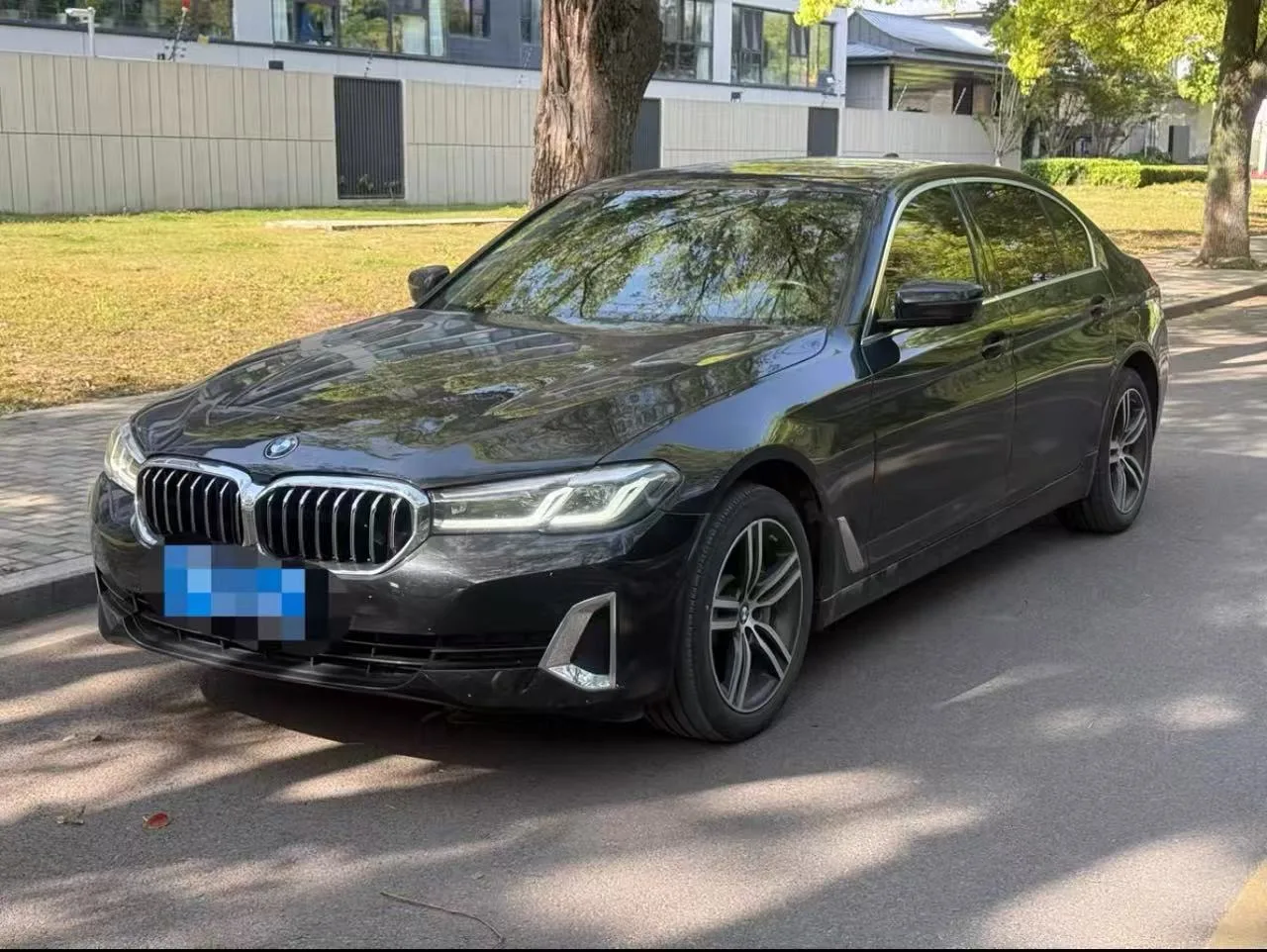 2021 BMW 5 Series 530Li Leading Edition Luxury Package