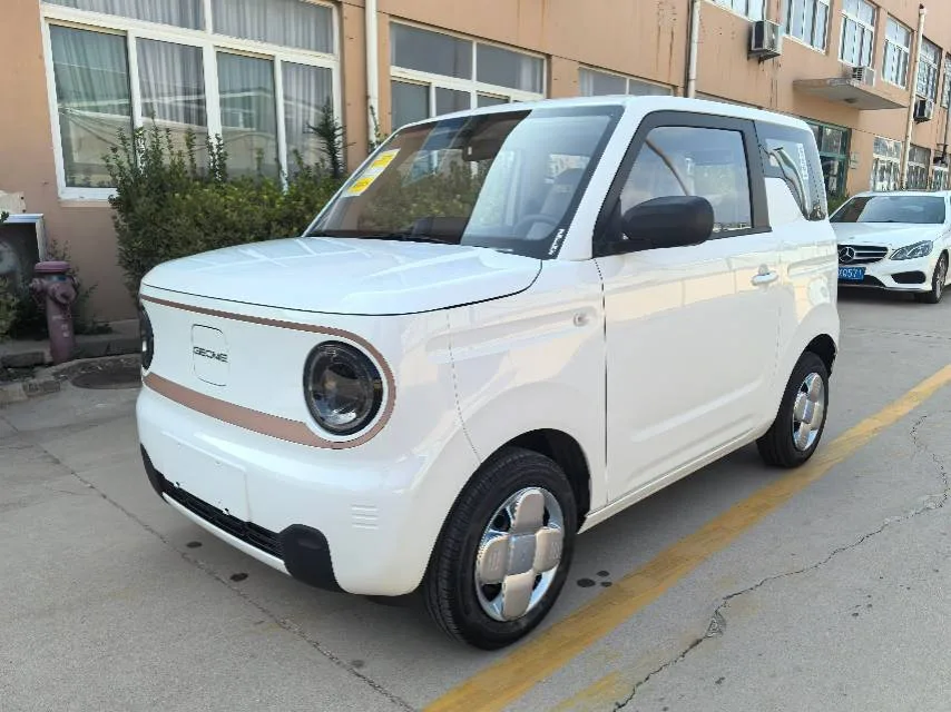 Panda 2024 Panda Mini 200km Endurance Bear