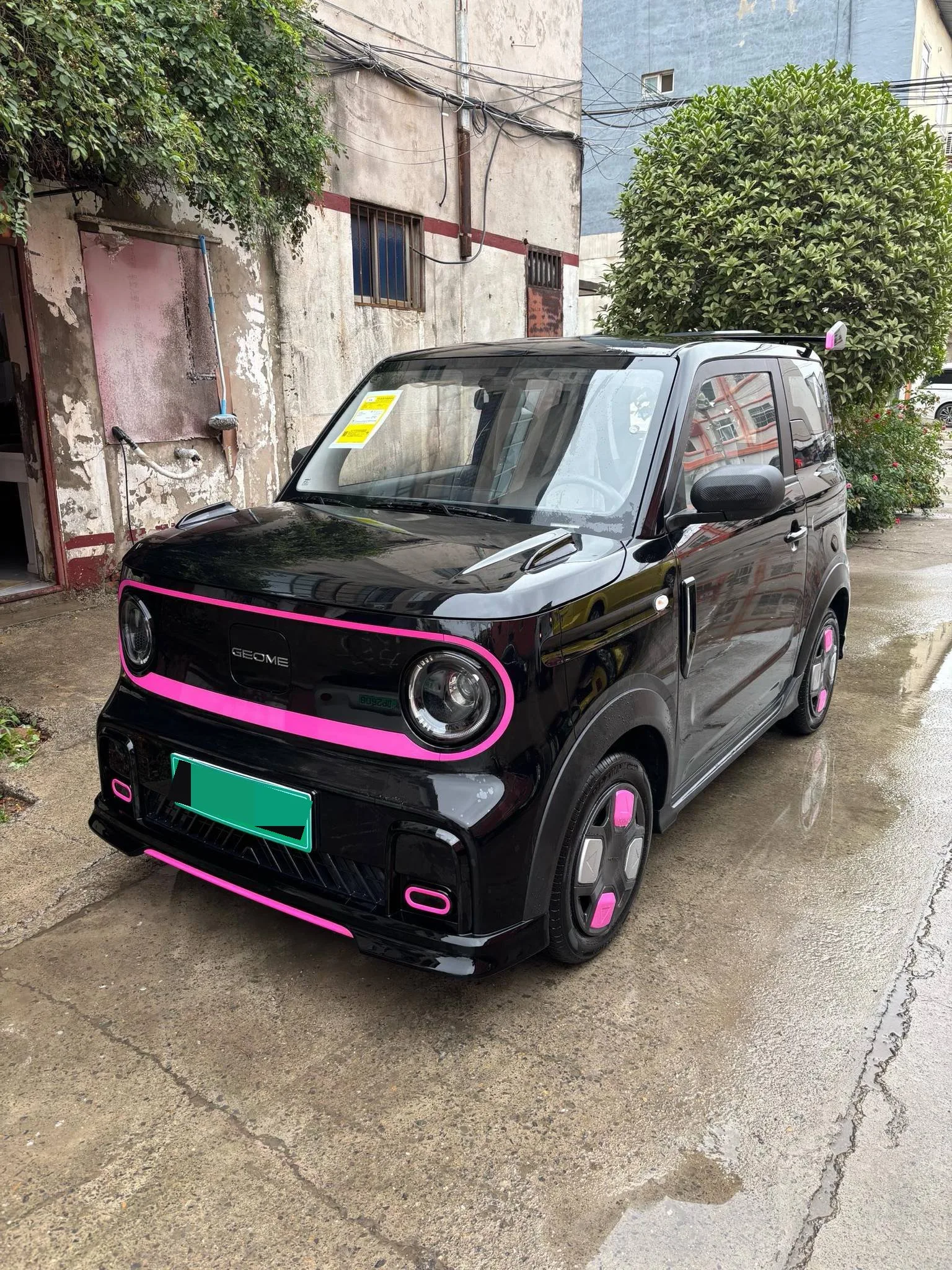 Geely 2025 Panda MINI 210km Panda Go-Kart Automatic