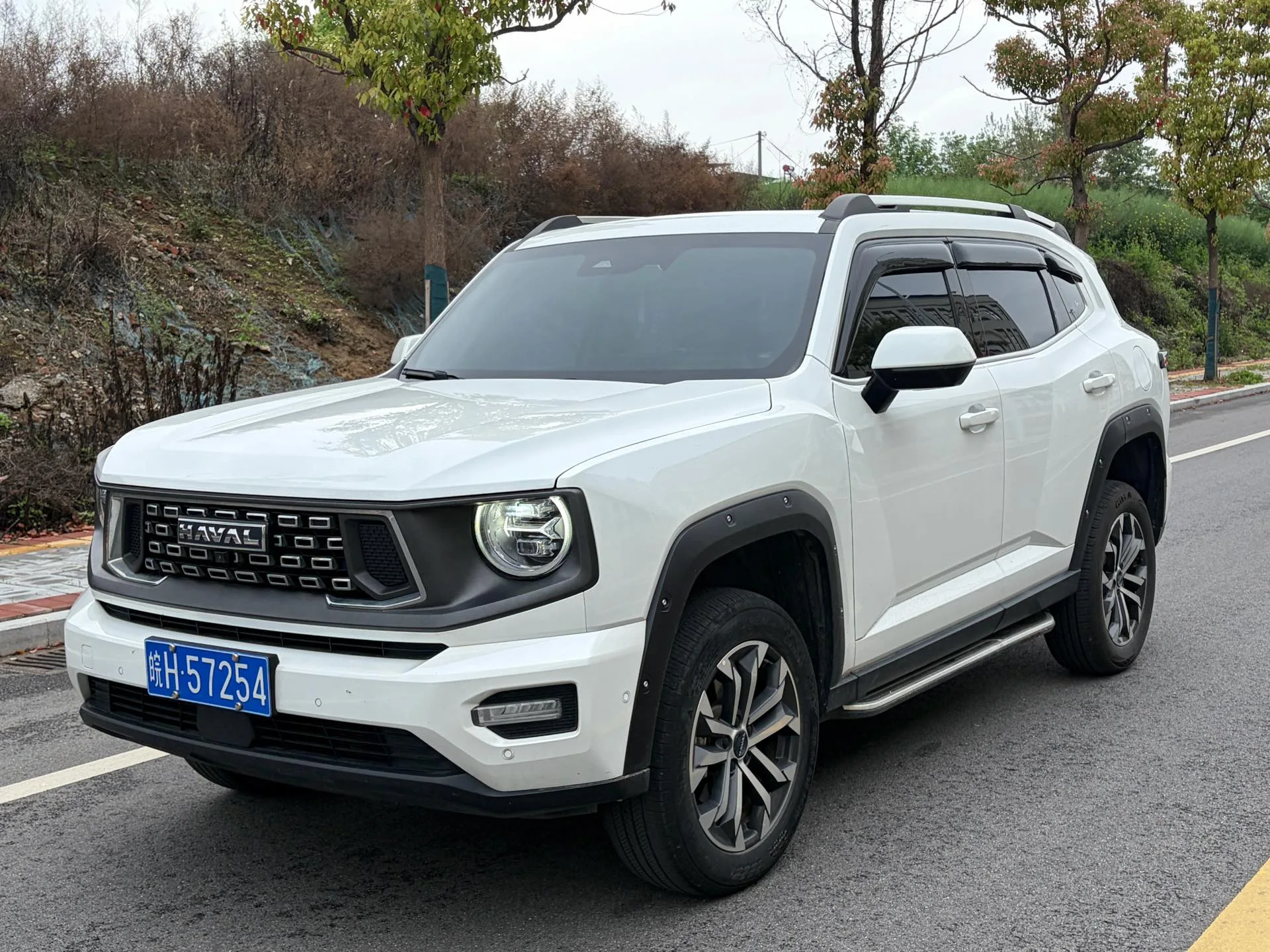 2023 Haval H-DOG 2.0T 4WD Base Model