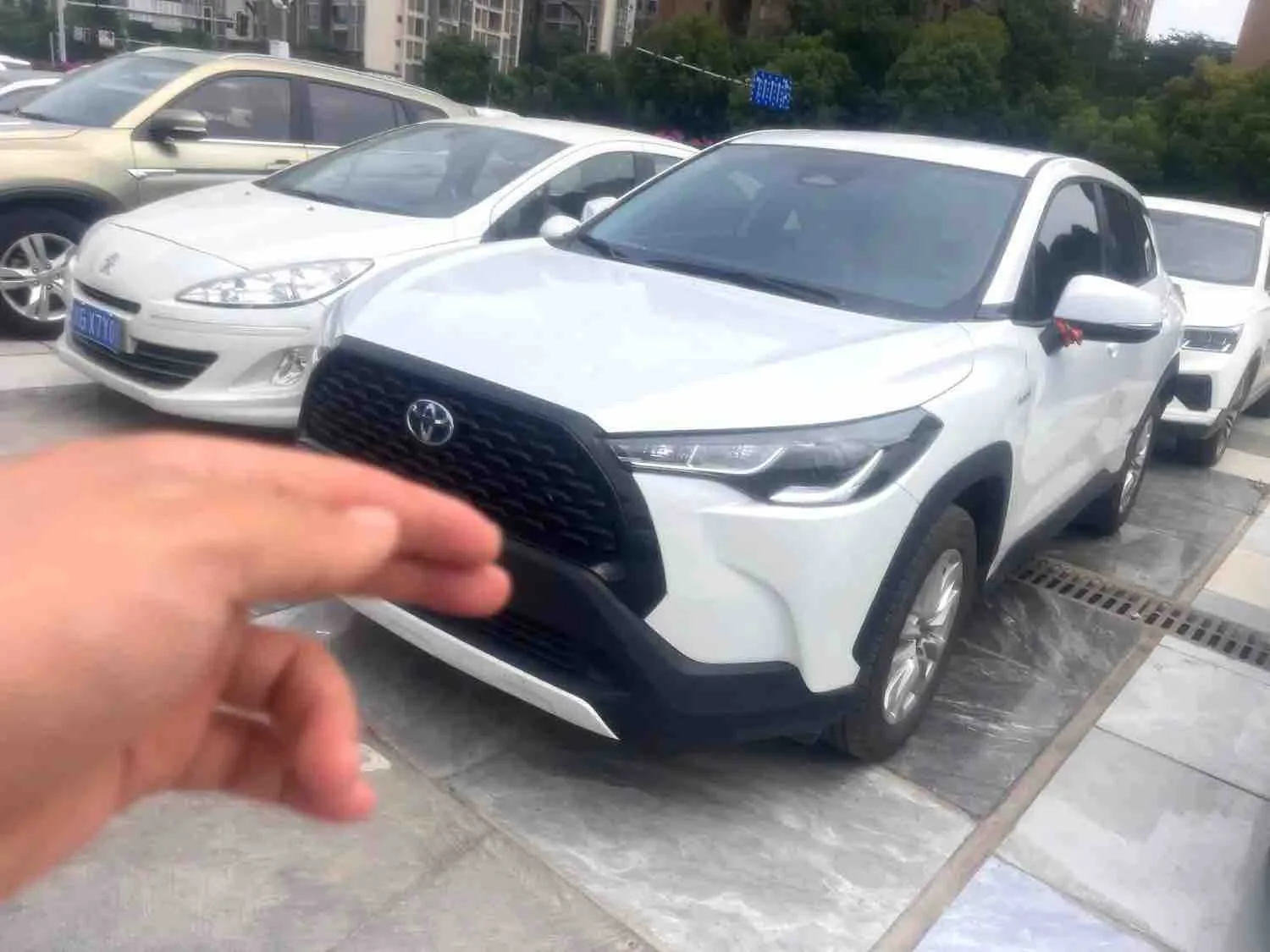 2023 Toyota Corolla R-Line 2.0 CVT Pioneer Edition Automatic