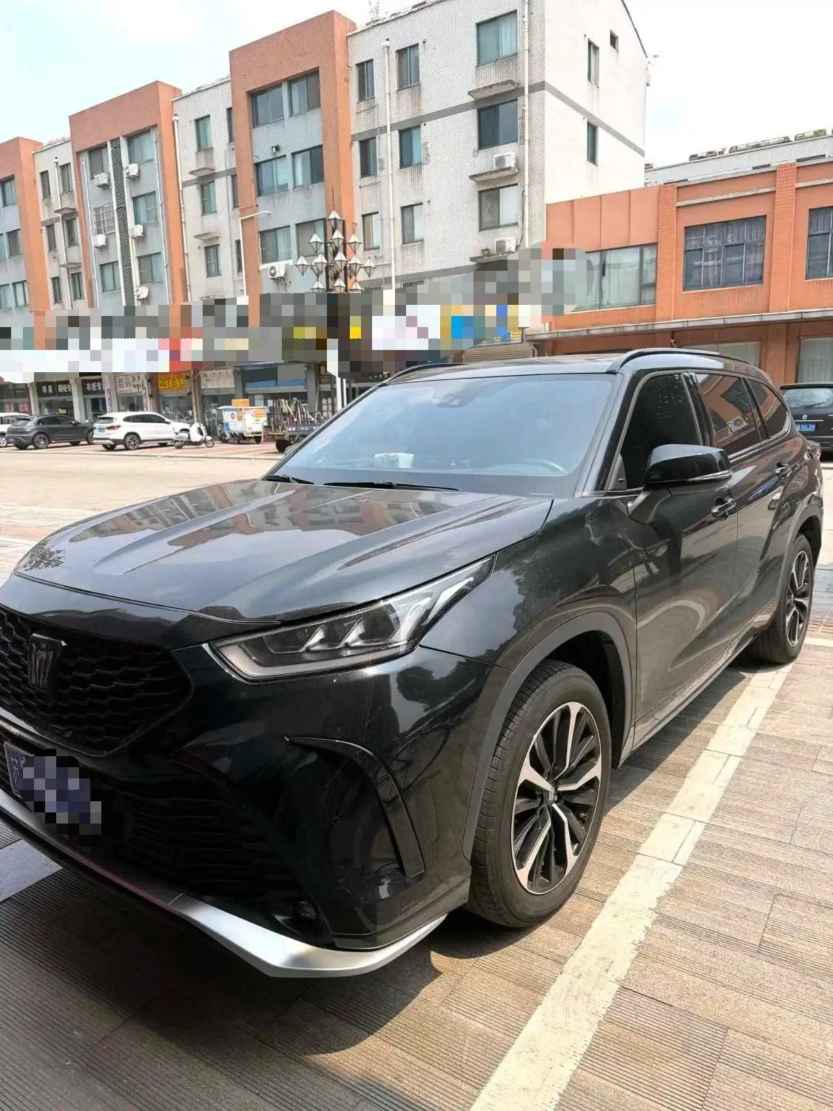 Crown Land Cruiser 2022 2.0T Enjoy Edition
