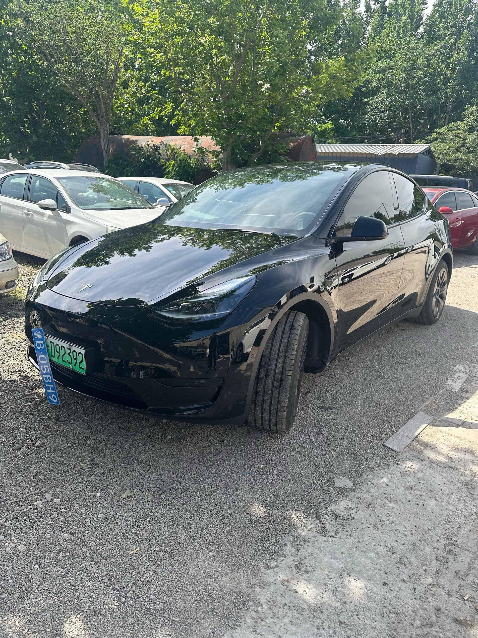 Model Y 2023 Rear-Wheel Drive