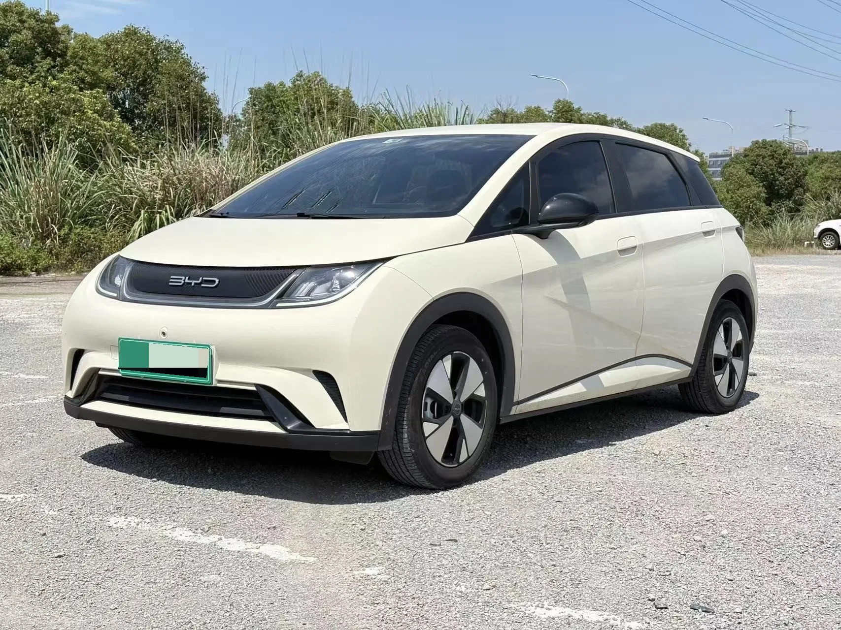 BYD 2023 Dolphin 420km Freedom Edition Automatic