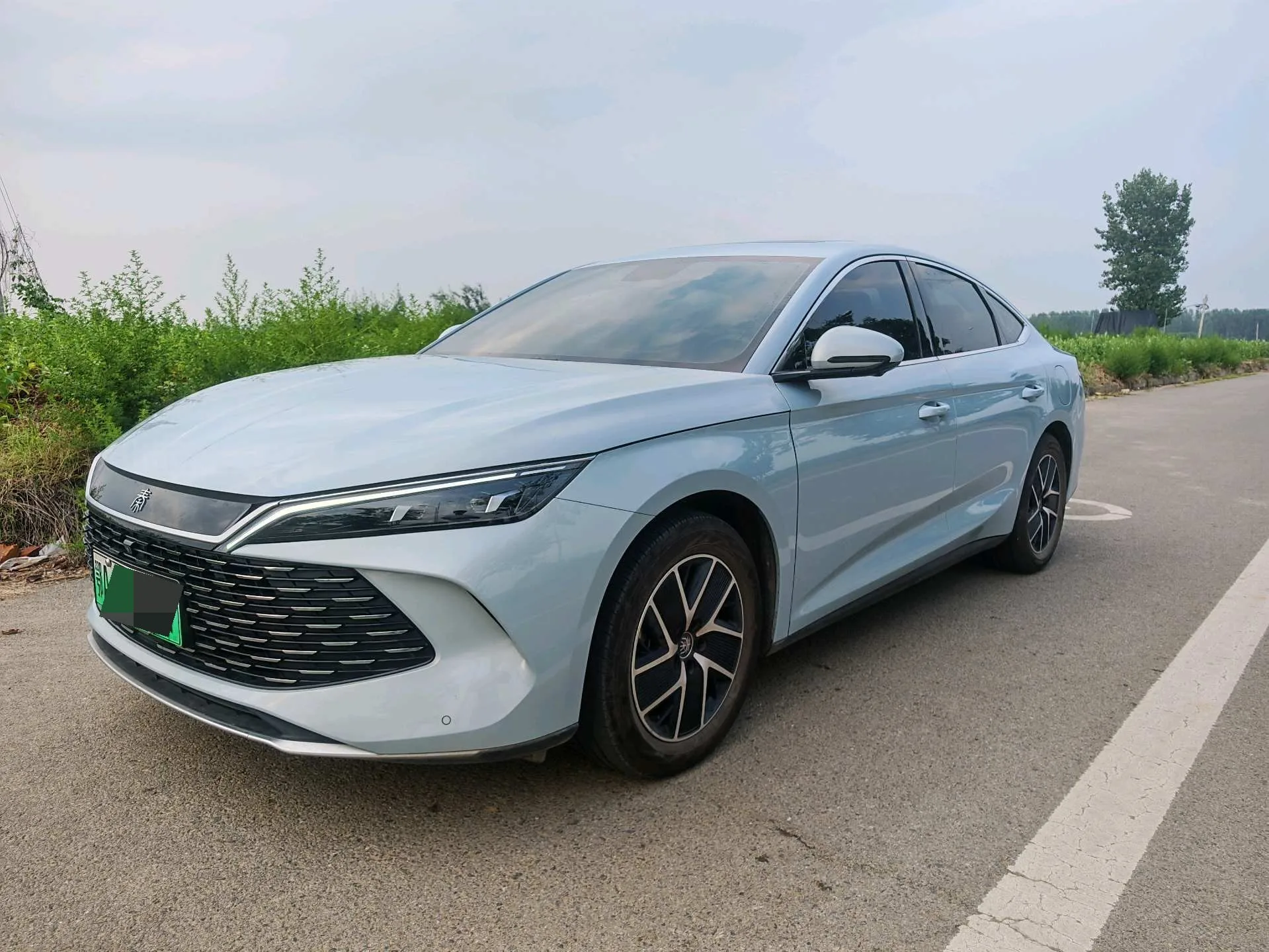 Qin L 2024 DM-i 120KM Leading Edition