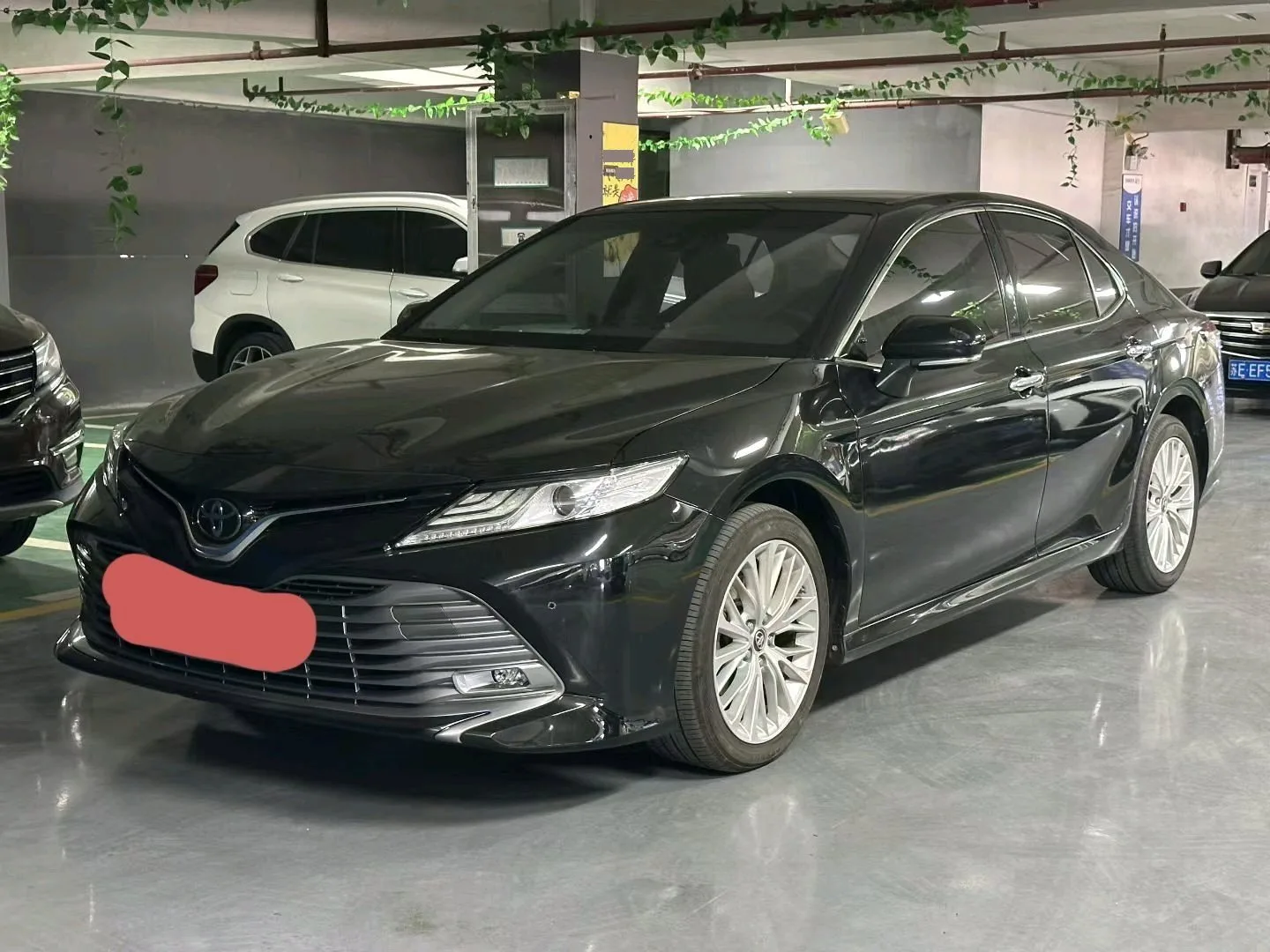 2018 Camry 2.0G Luxury Edition